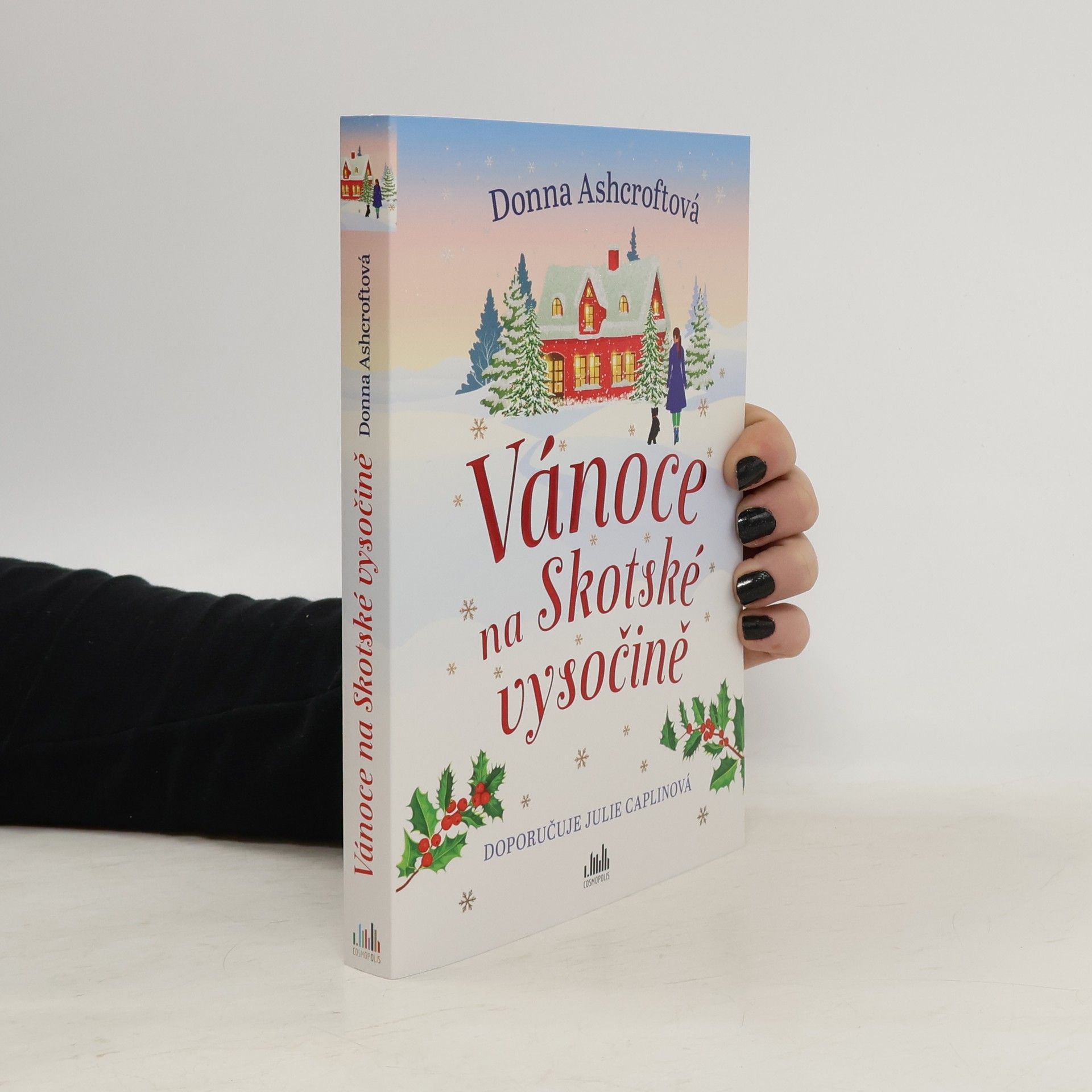 Donna Ashcroft Vánoce na Skotské vysočině