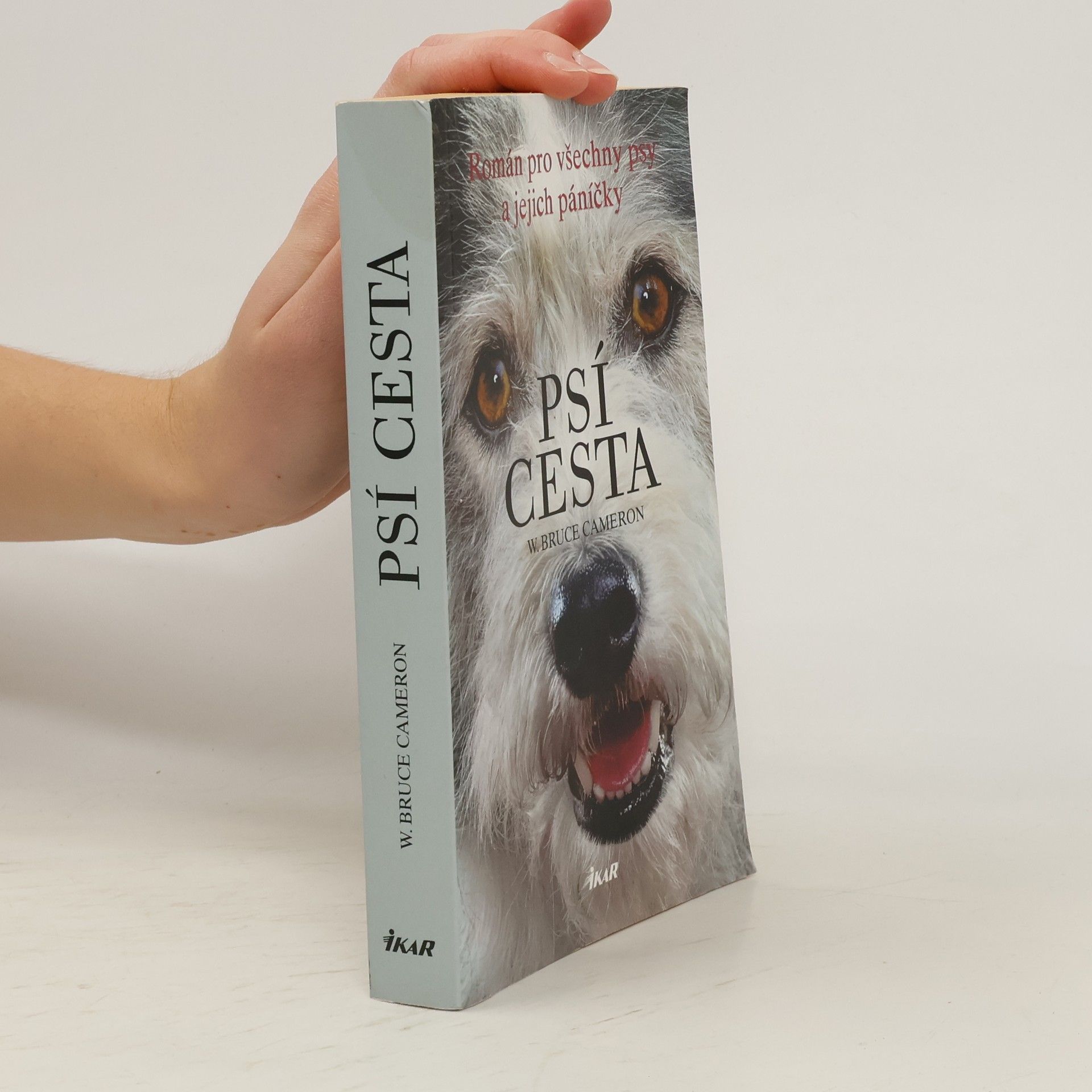 W. Bruce Cameron Psí cesta