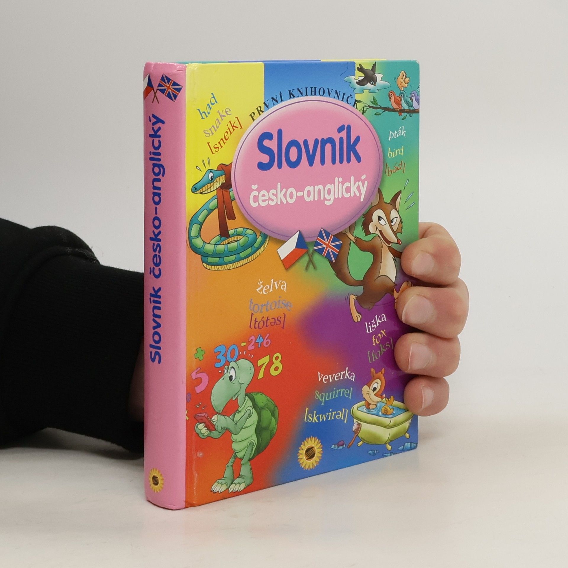 Kolektív autorov Slovník česko-anglický