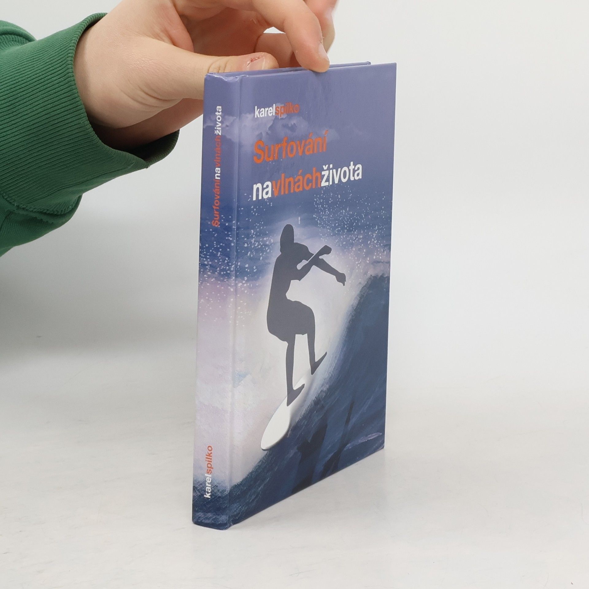 Surfování na vlnách života