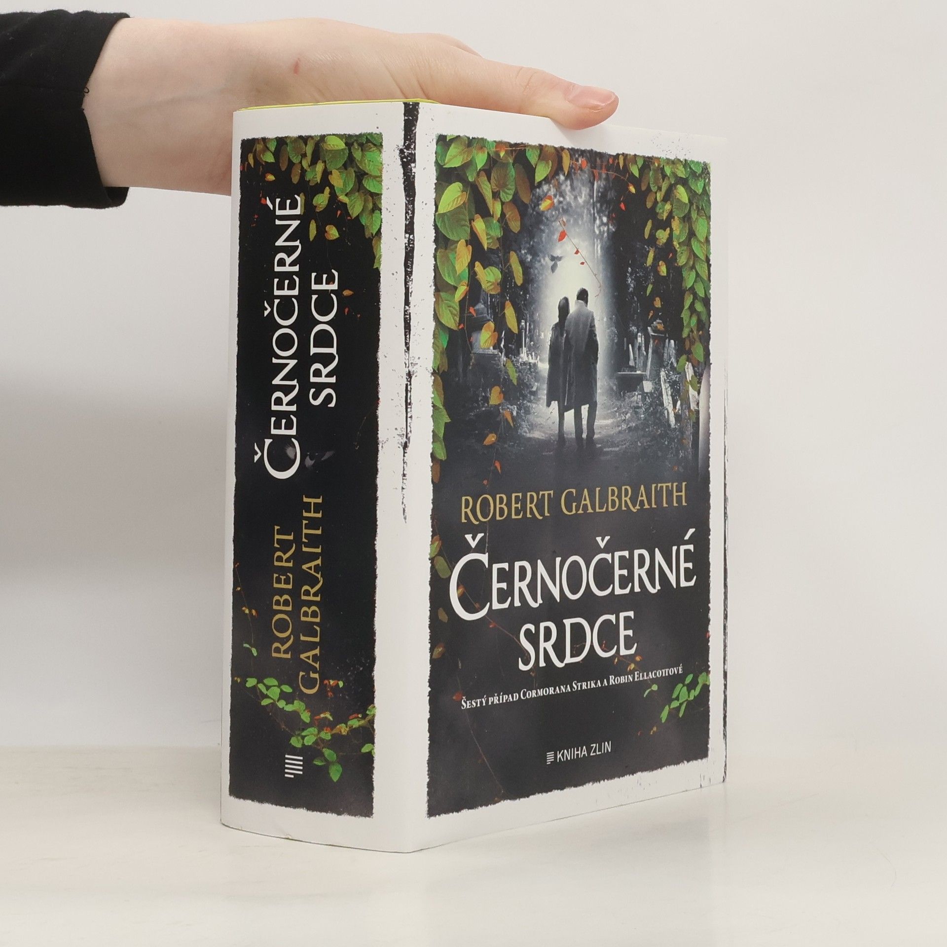 Robert Galbraith Černočerné srdce