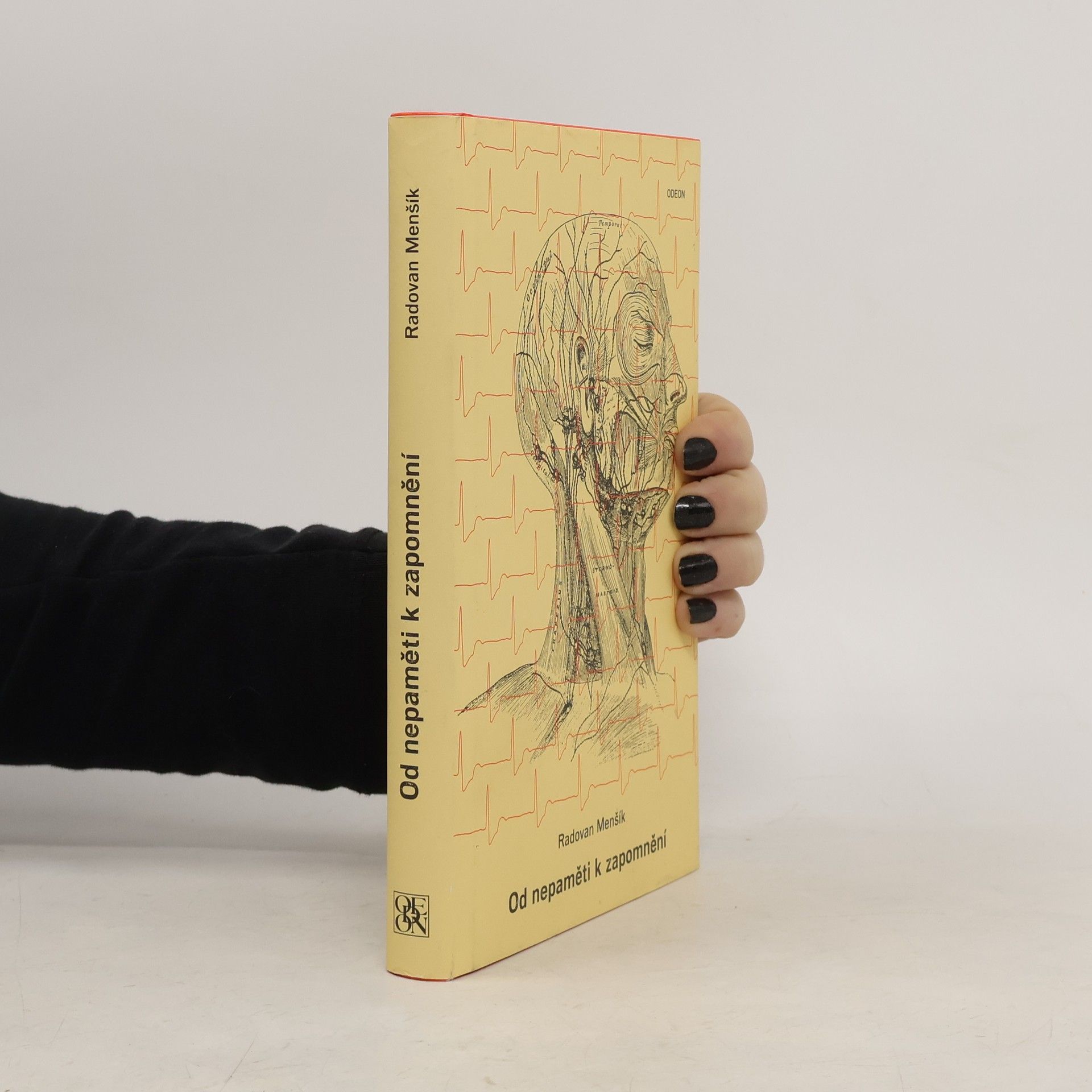 Od nepaměti k zapomnění