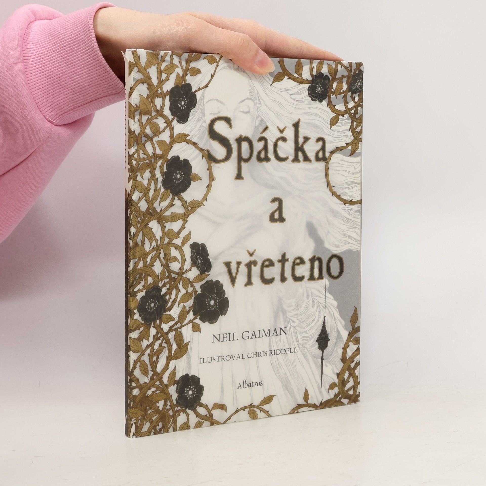 Neil Gaiman Spáčka a vřeteno