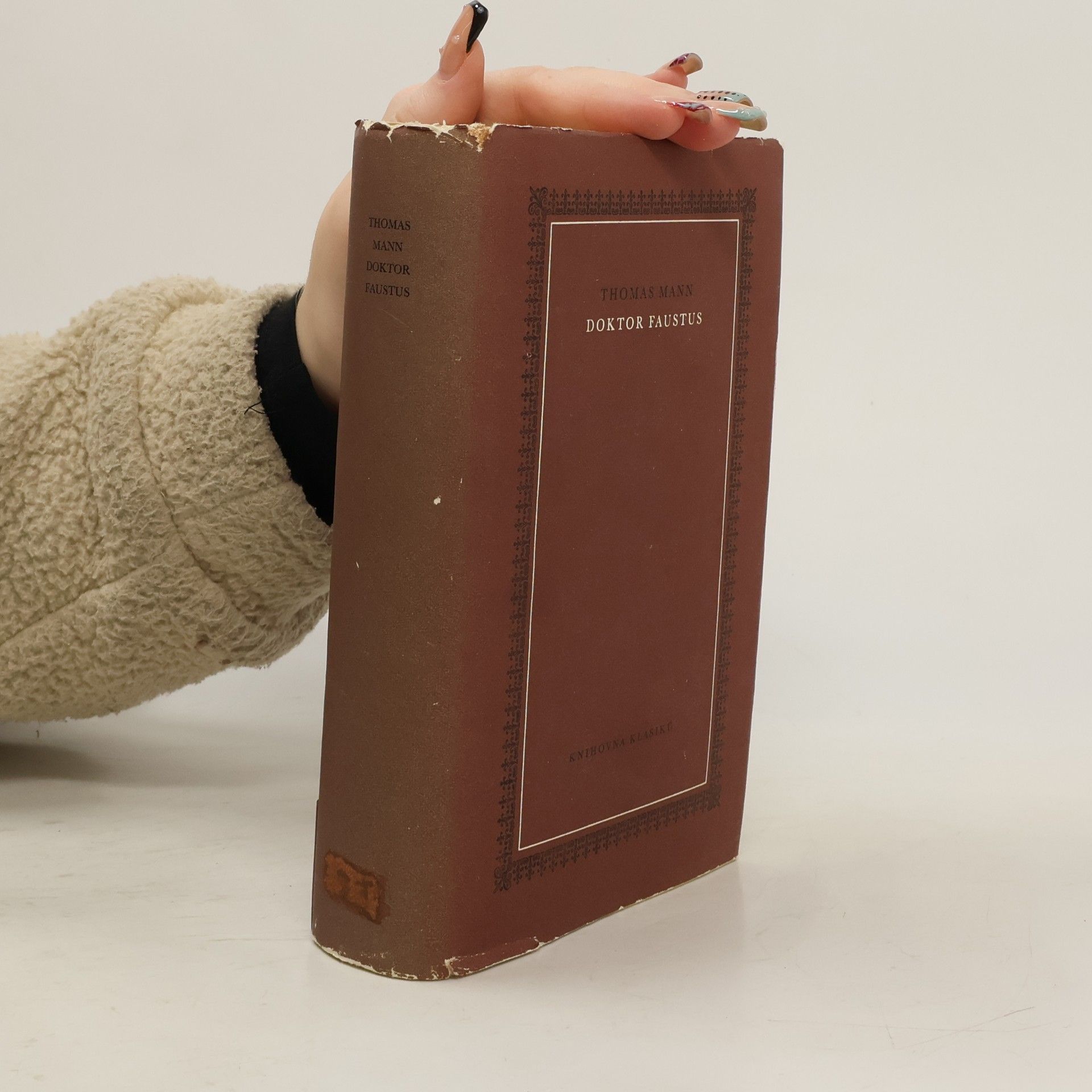 Thomas Mann Doktor Faustus