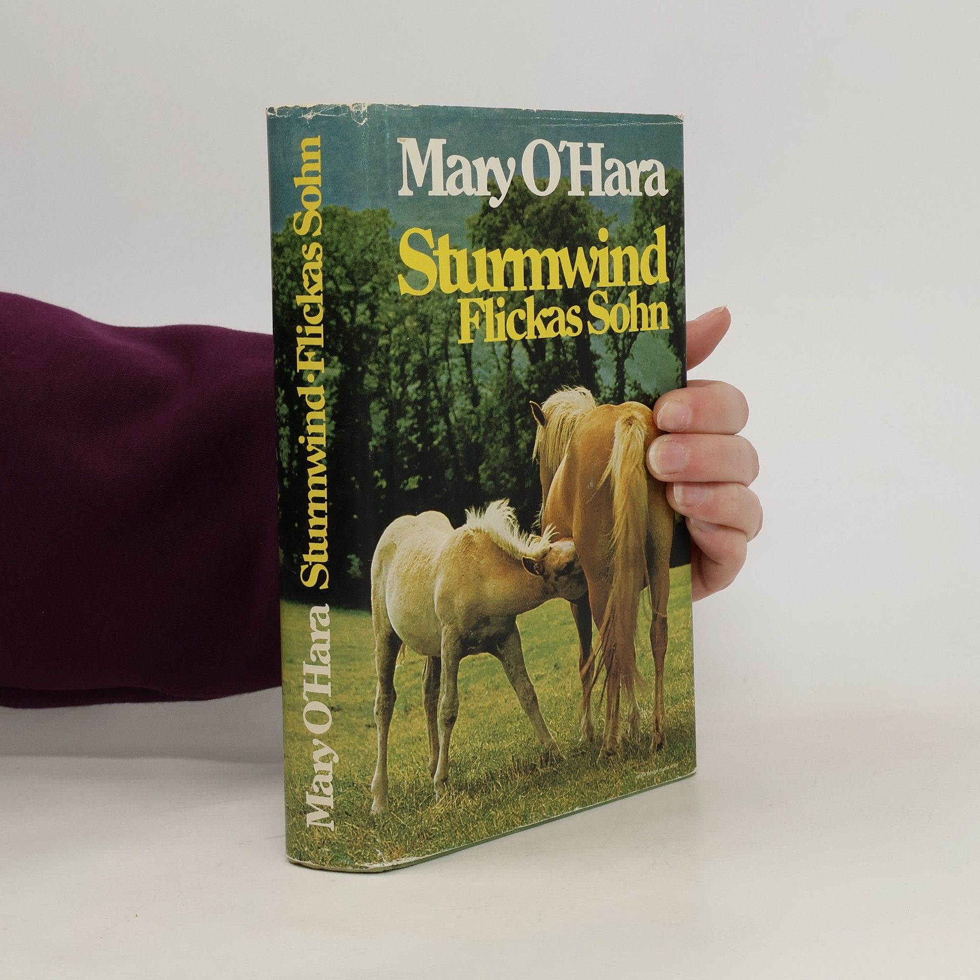 Sturmwind. Flickas Sohn