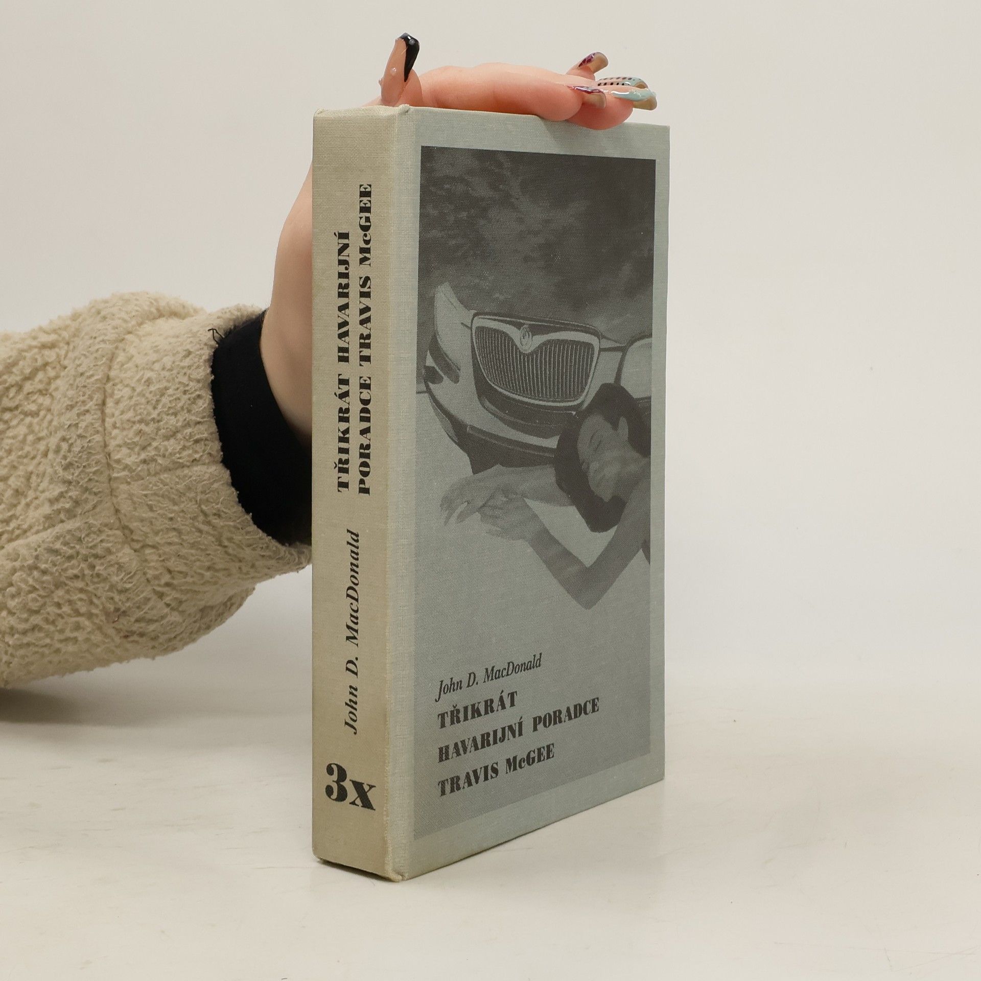 Třikrát havarijní poradce Travis McGee