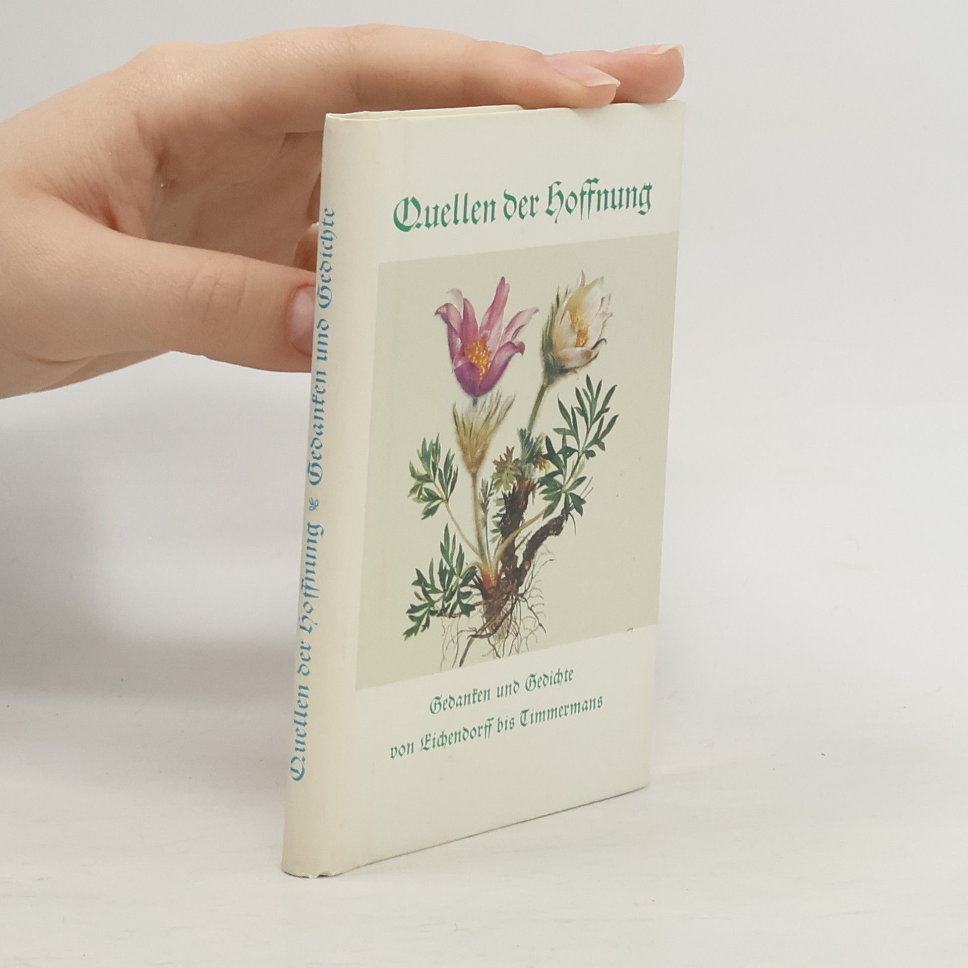 Clemens Brentano Quellen der Hoffnung: Gedanken und Gedichte von Eichendorff bis Timmermans