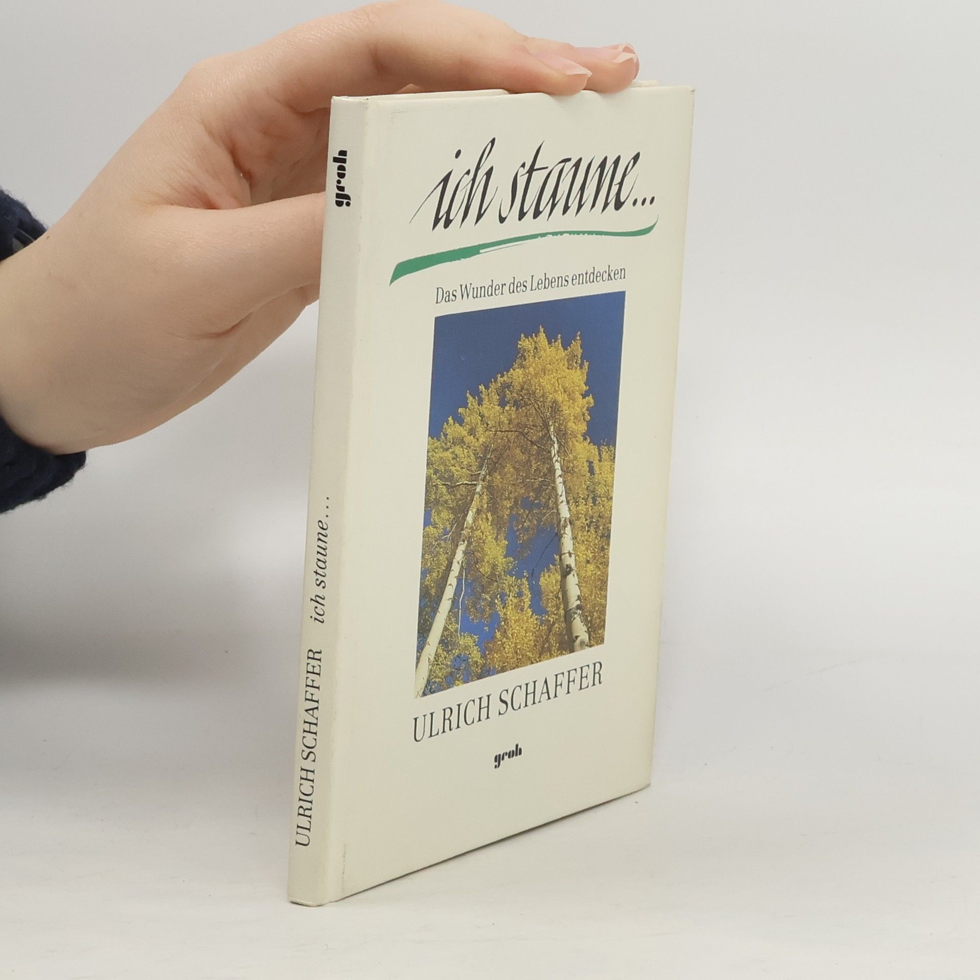 Ulrich Schaffer Ich staune ...