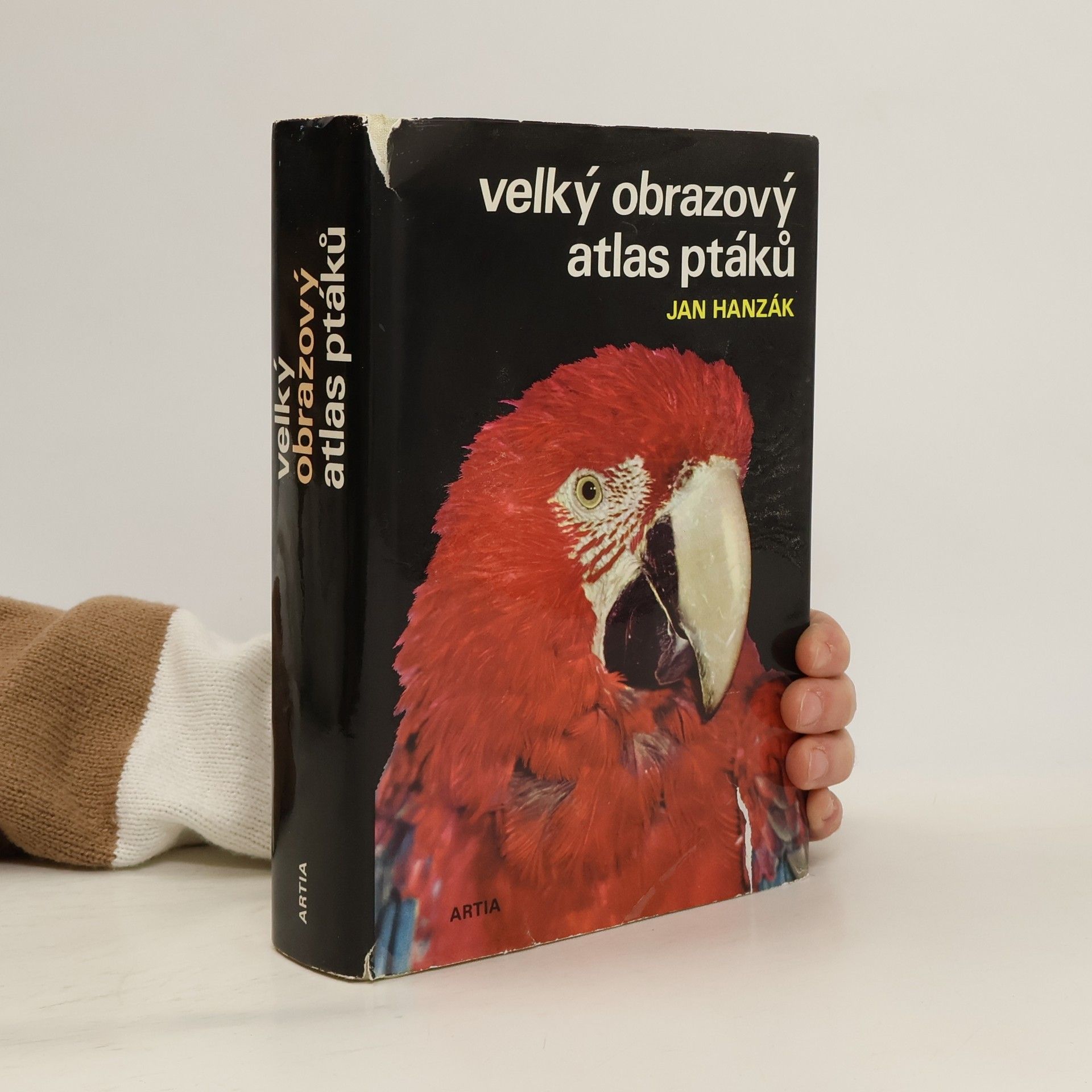 Wielki atlas ptaków