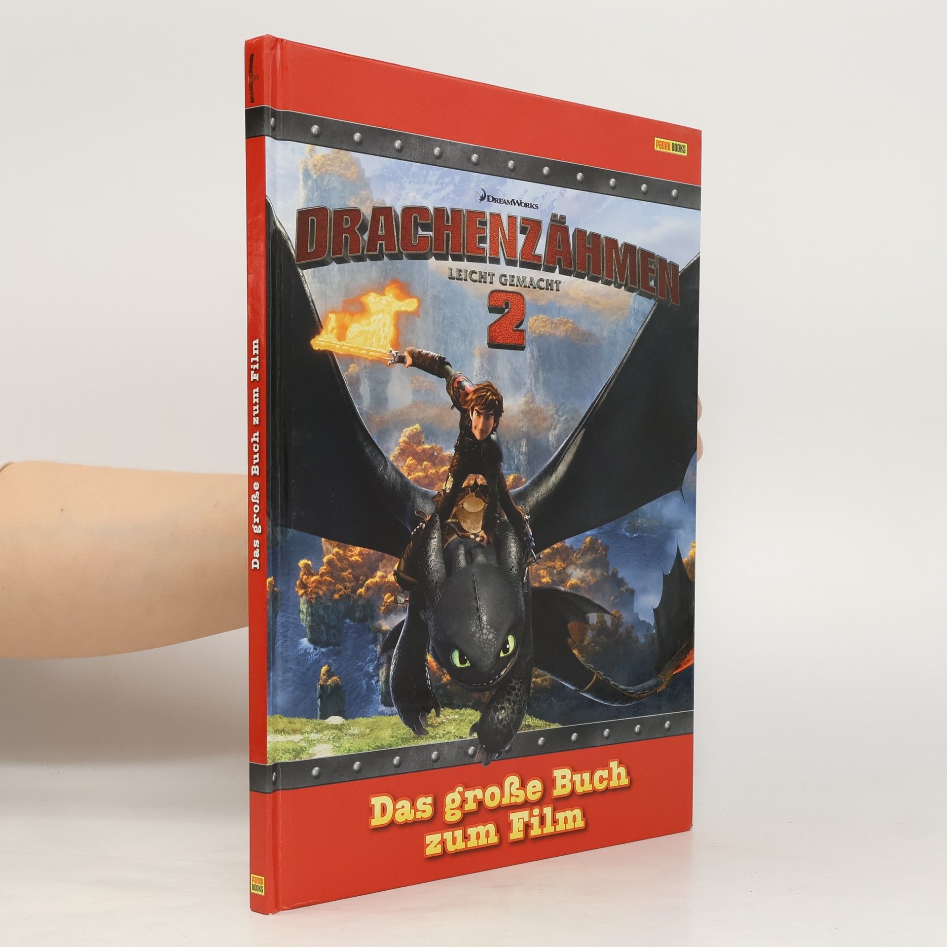 Autorenkollektiv Drachenzähmen leicht gemacht 2