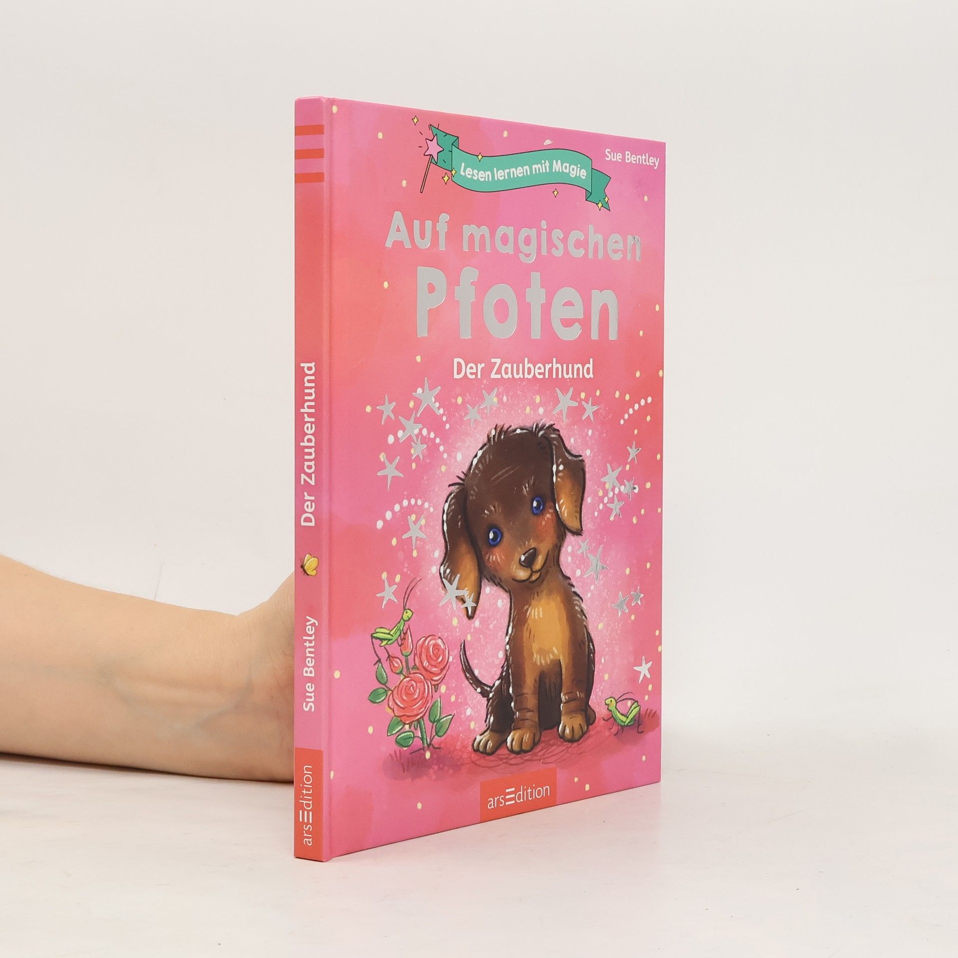 Sue Bentley Lesen lernen mit Magie: Auf magischen Pfoten