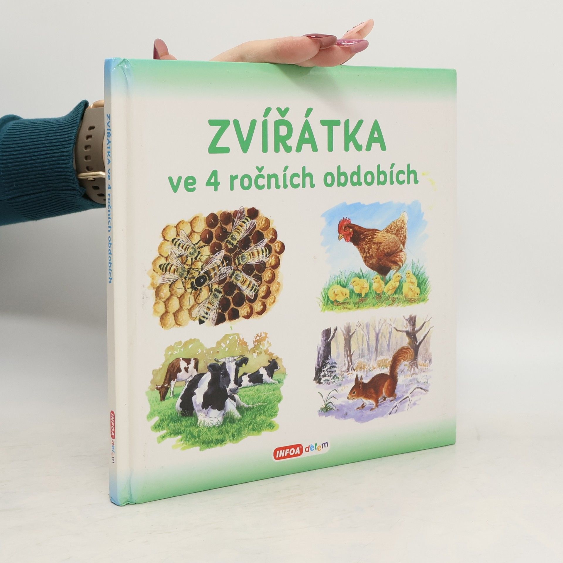 Zvířátka ve 4 ročních obdobích