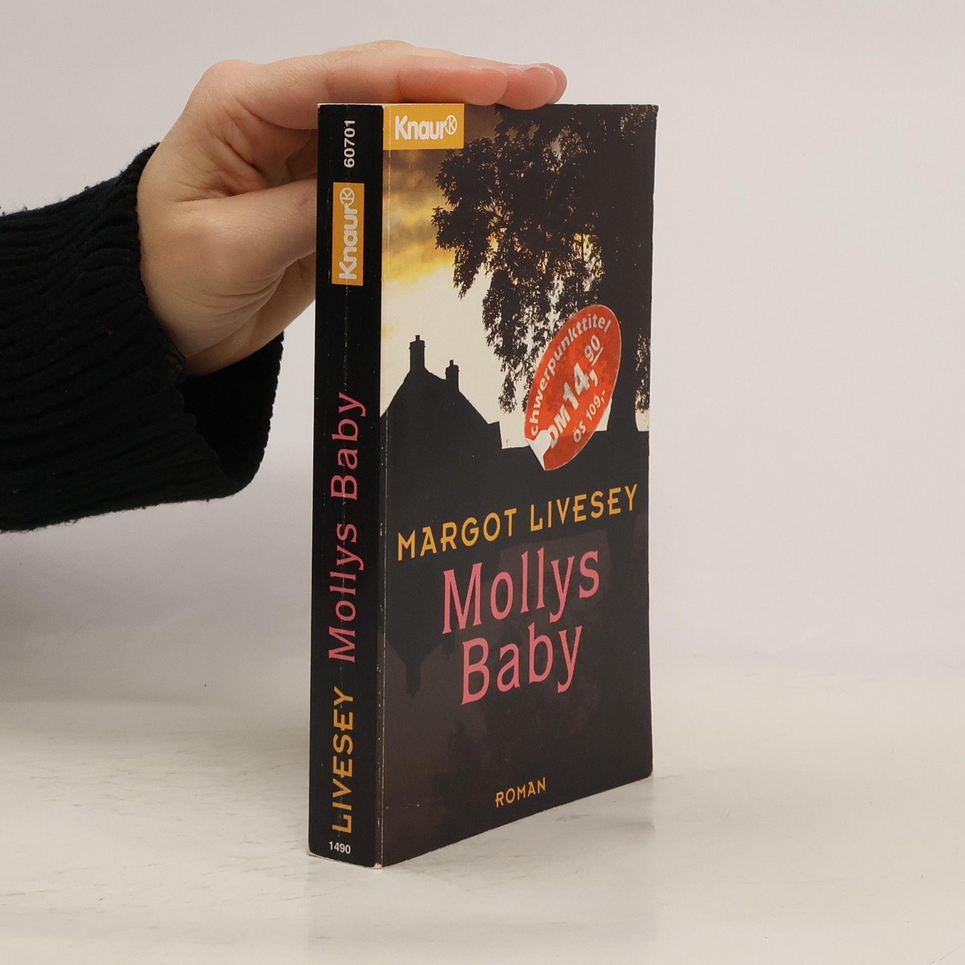 Margot Livesey Mollys Baby