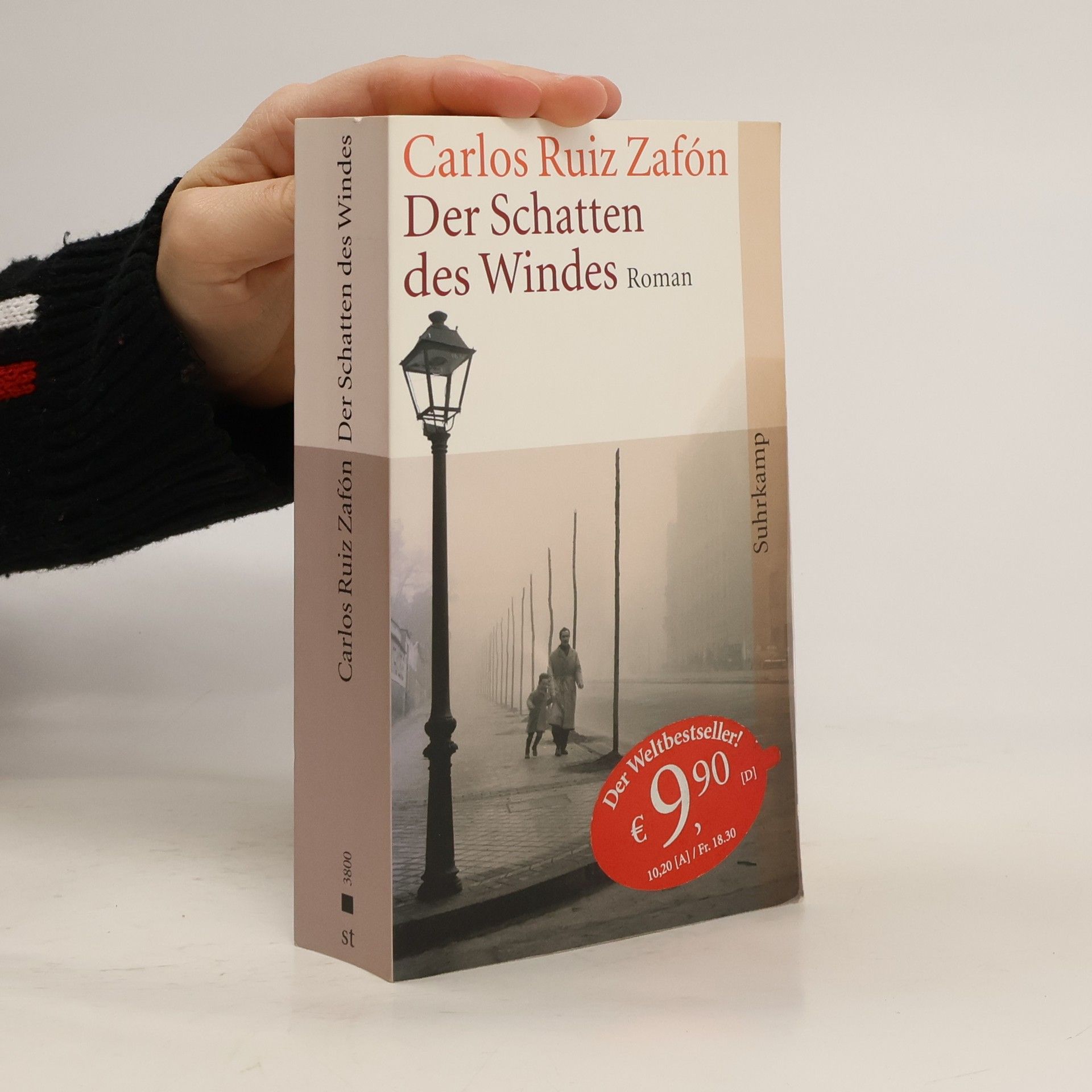 Carlos Ruiz Zafón Der Schatten des Windes