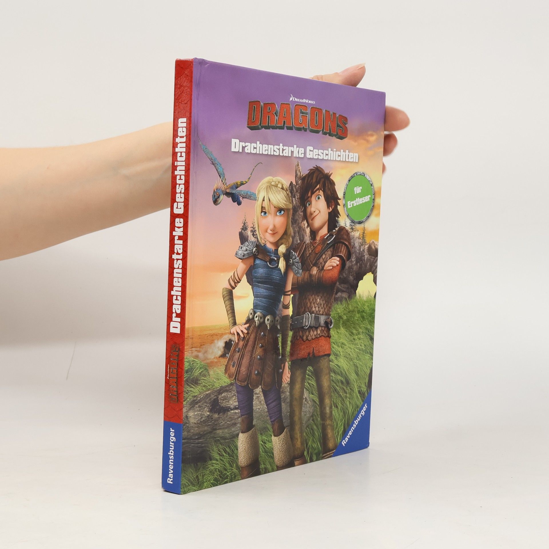Thilo Petry-Lassak Dreamworks Dragons: Drachenstarke Geschichten für Erstleser