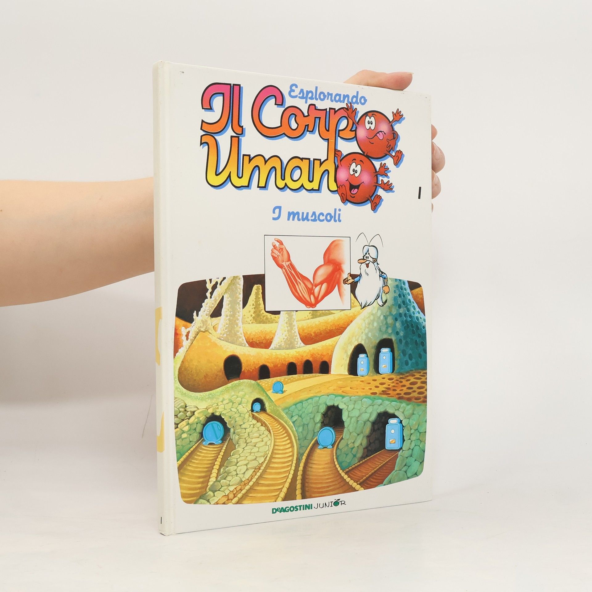 Kolektiv autorů Esplorando Il Corpo umano I.: I Muscoli