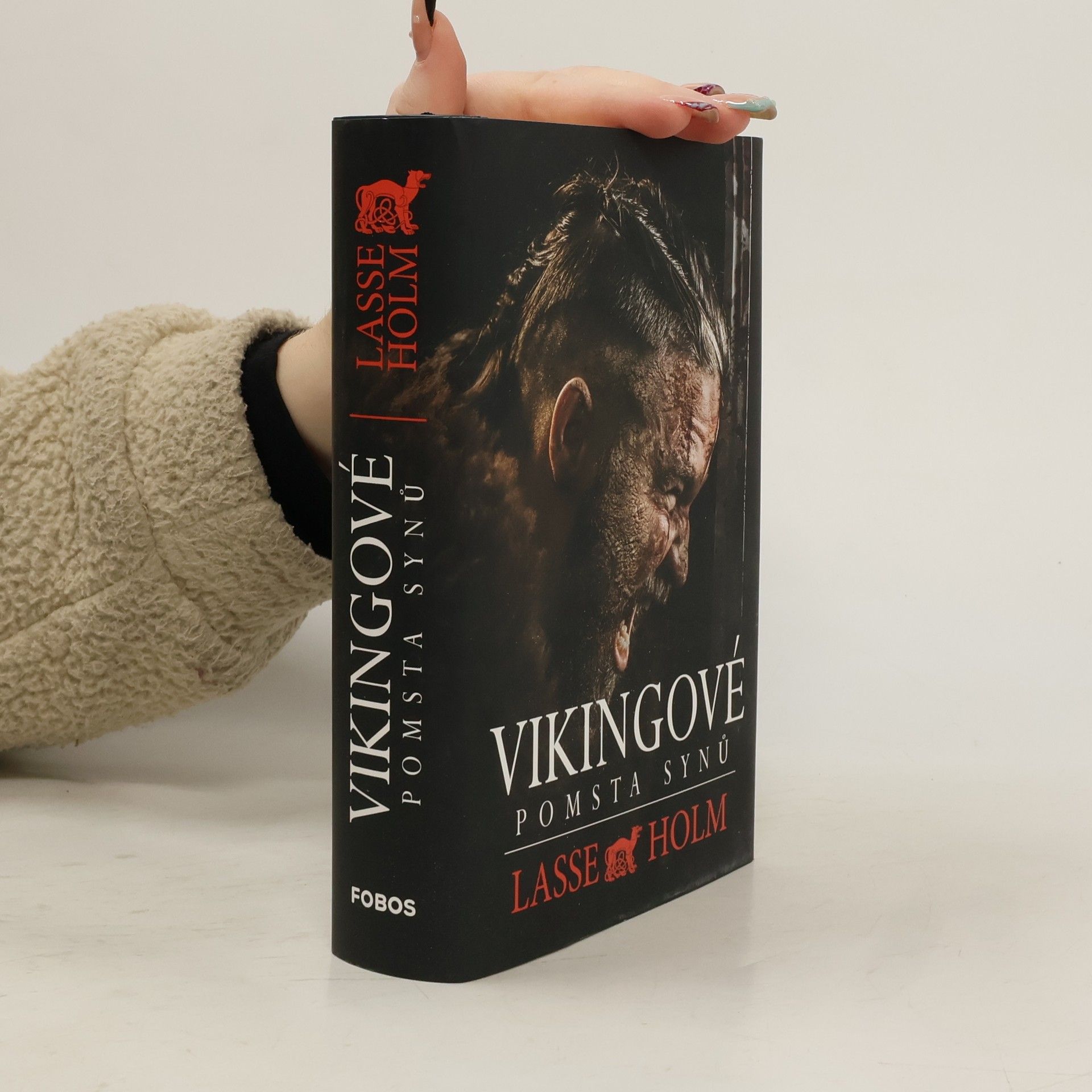 Vikingové. Pomsta synů