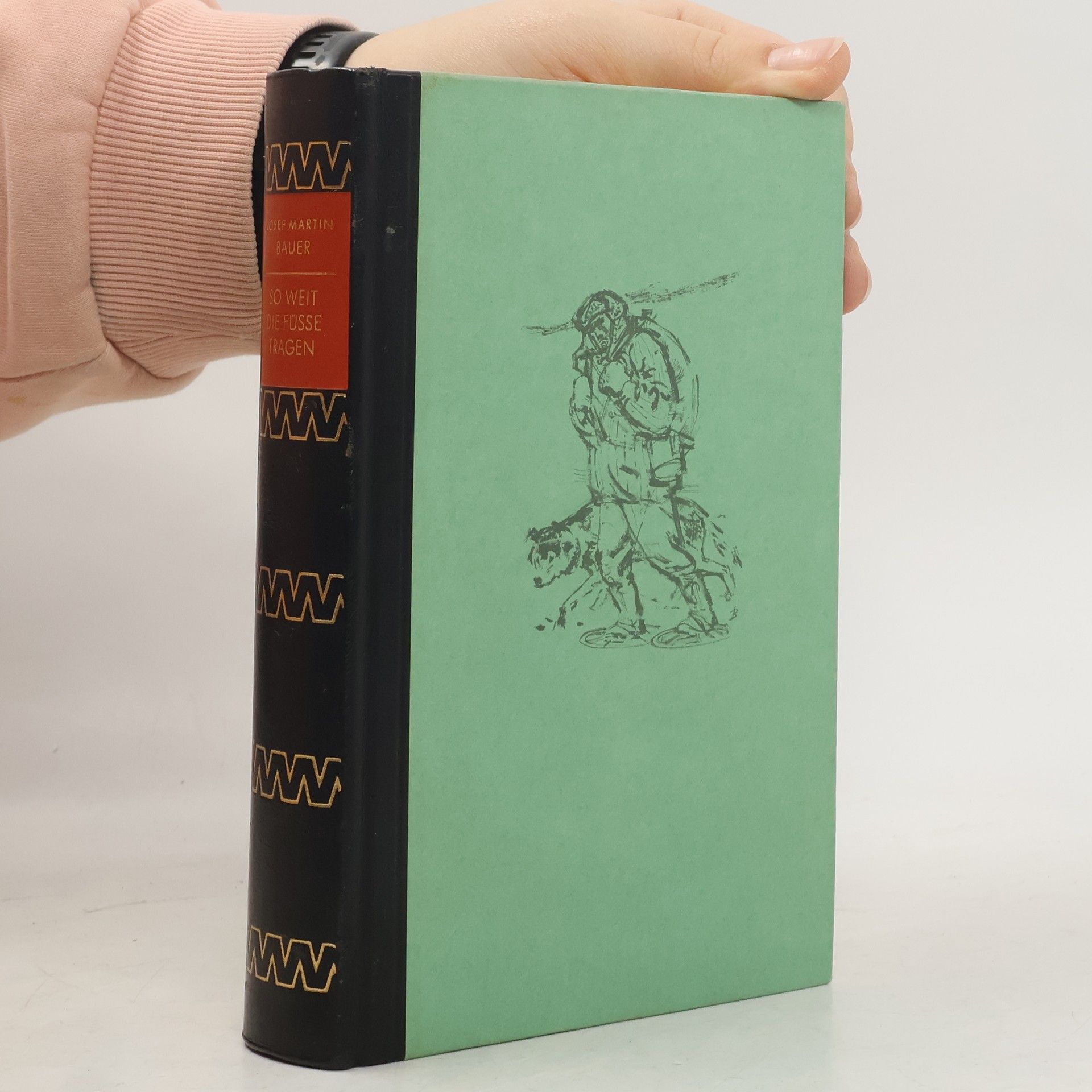 Josef Martin Bauer So weit die Füsse tragen