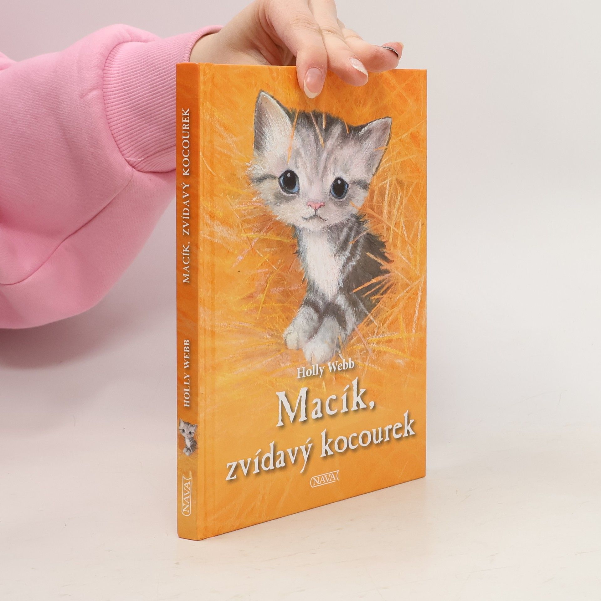 Holly Webb Macík, zvědavý kocourek