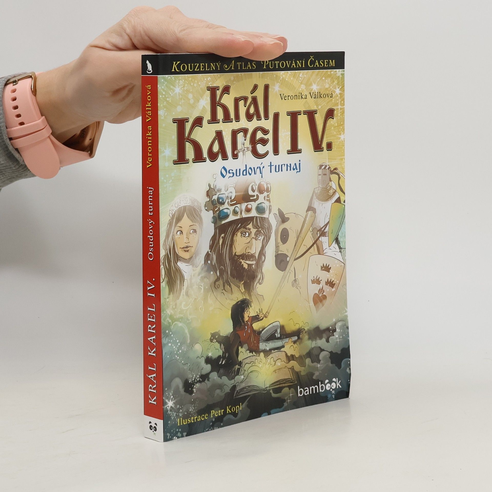 Král Karel IV. : Osudový turnaj