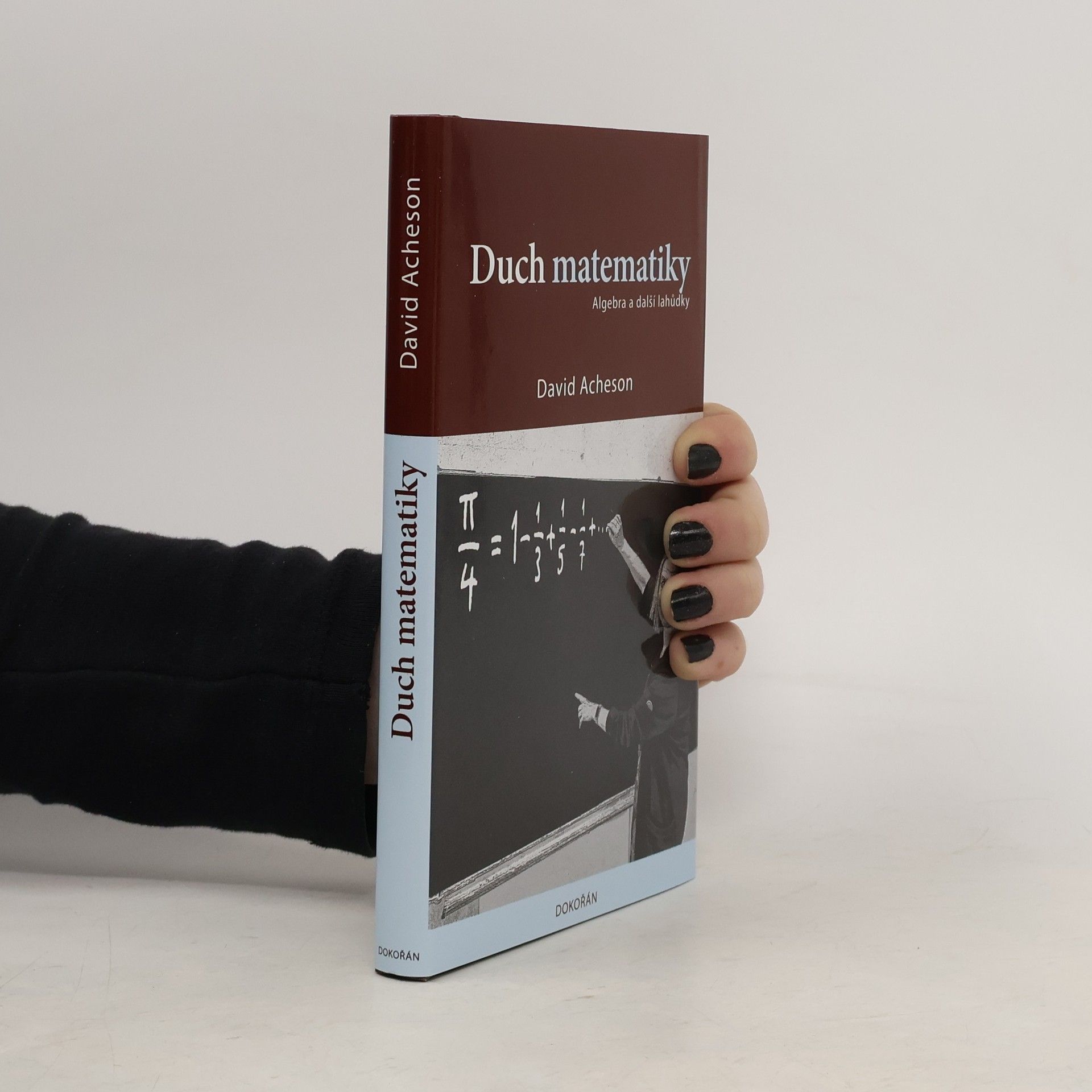 Duch matematiky: Algebra a další lahůdky