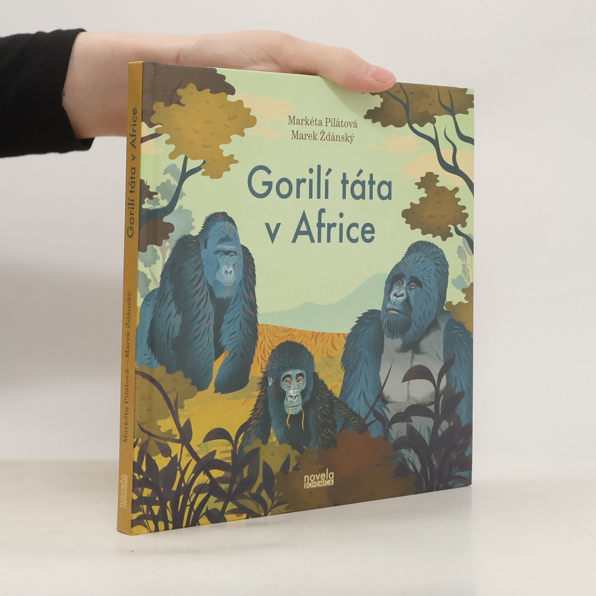 Gorilí táta v Africe