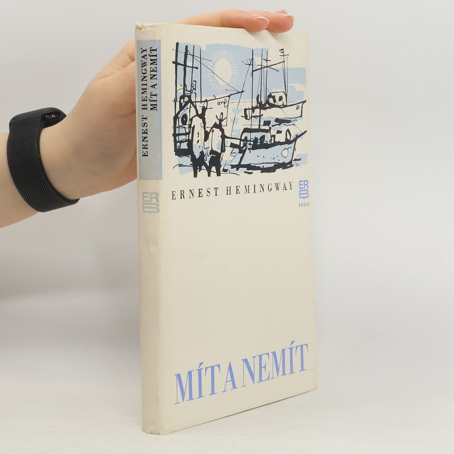 Ernest Hemingway Mít a nemít