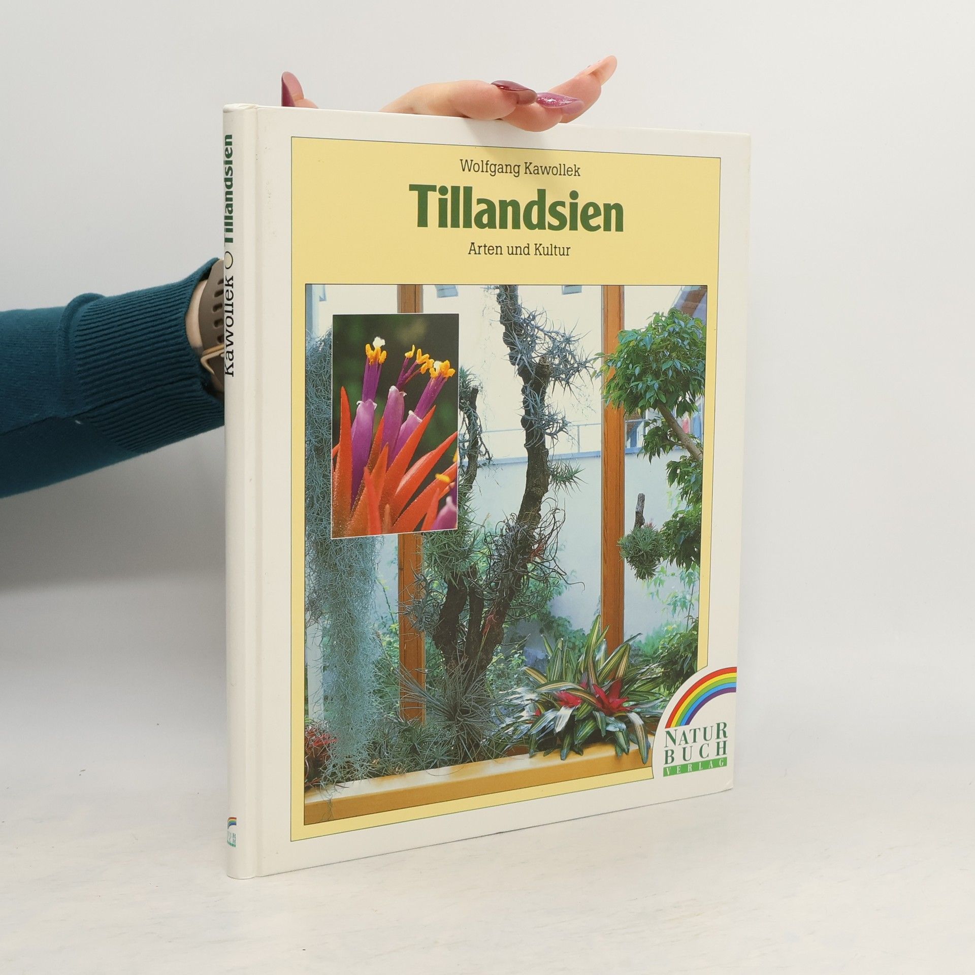 Wolfgang Kawollek Tillandsien : Arten und Kultur