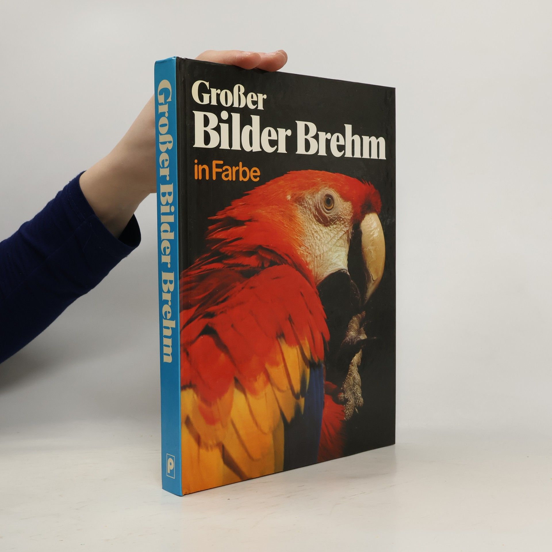 Autorenkollektiv Großer Bilder-Brehm in Farbe