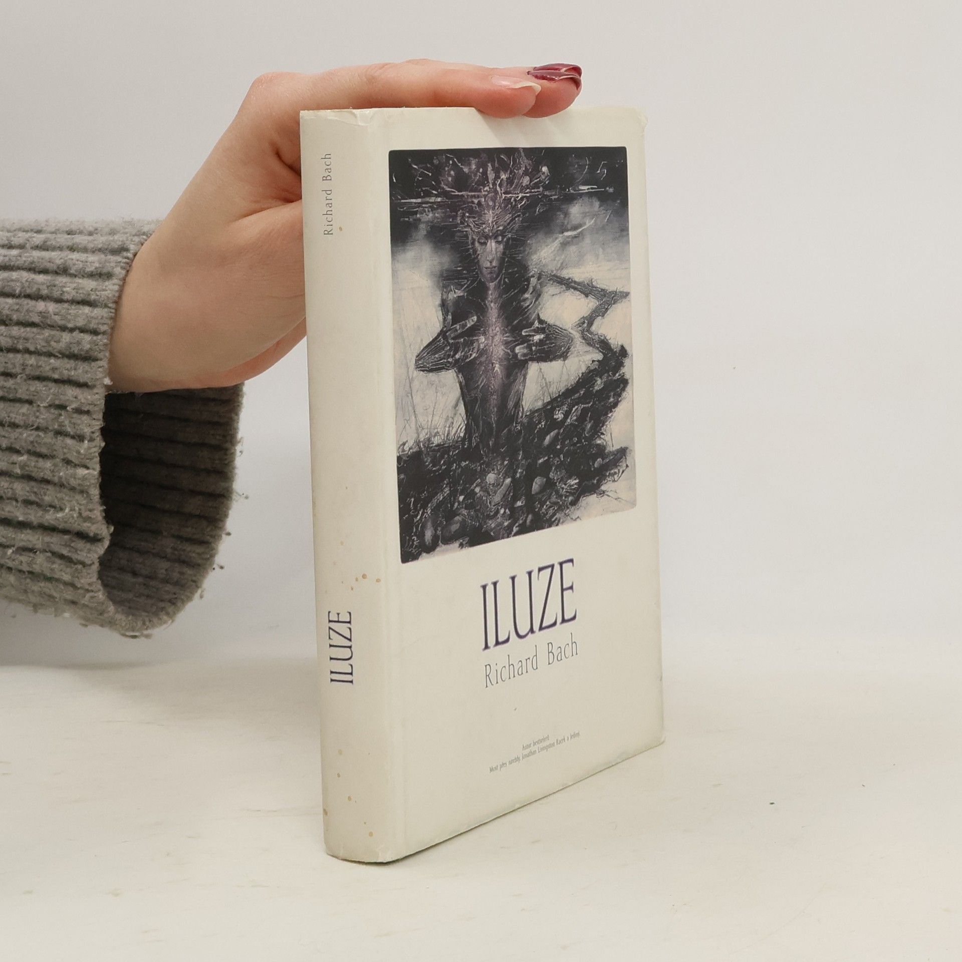 Vladimír Novák Iluze