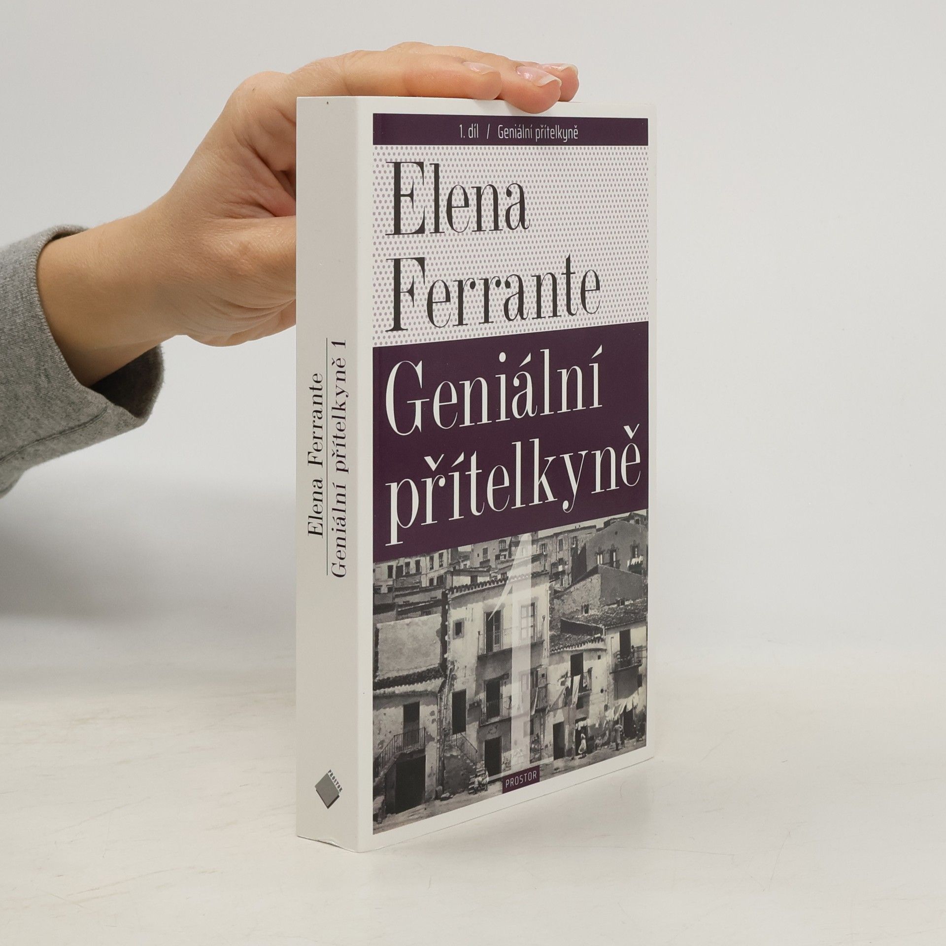 Geniální přítelkyně 1. Dětství a dospívání