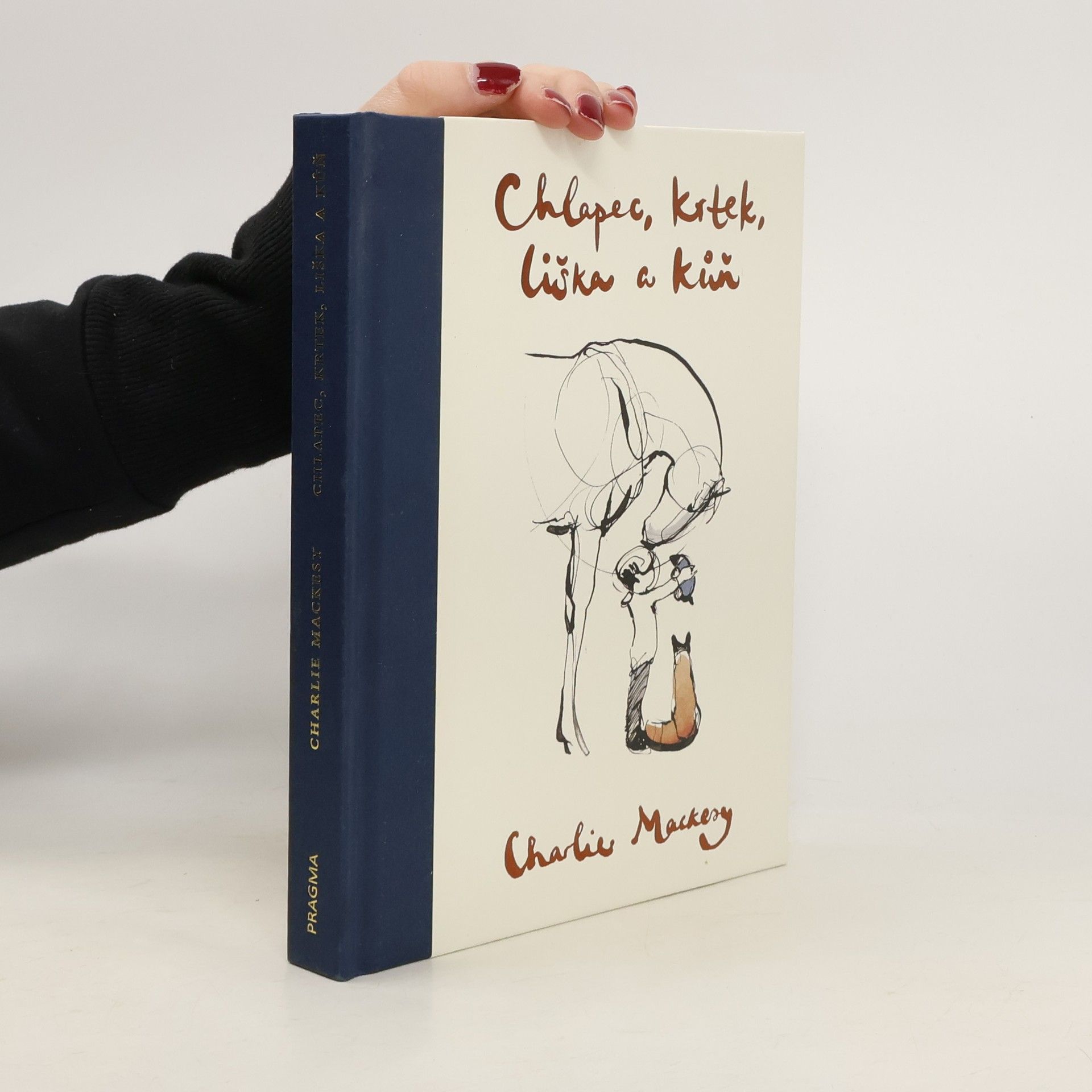 Charlie Mackesy Chlapec, krtek, liška a kůň