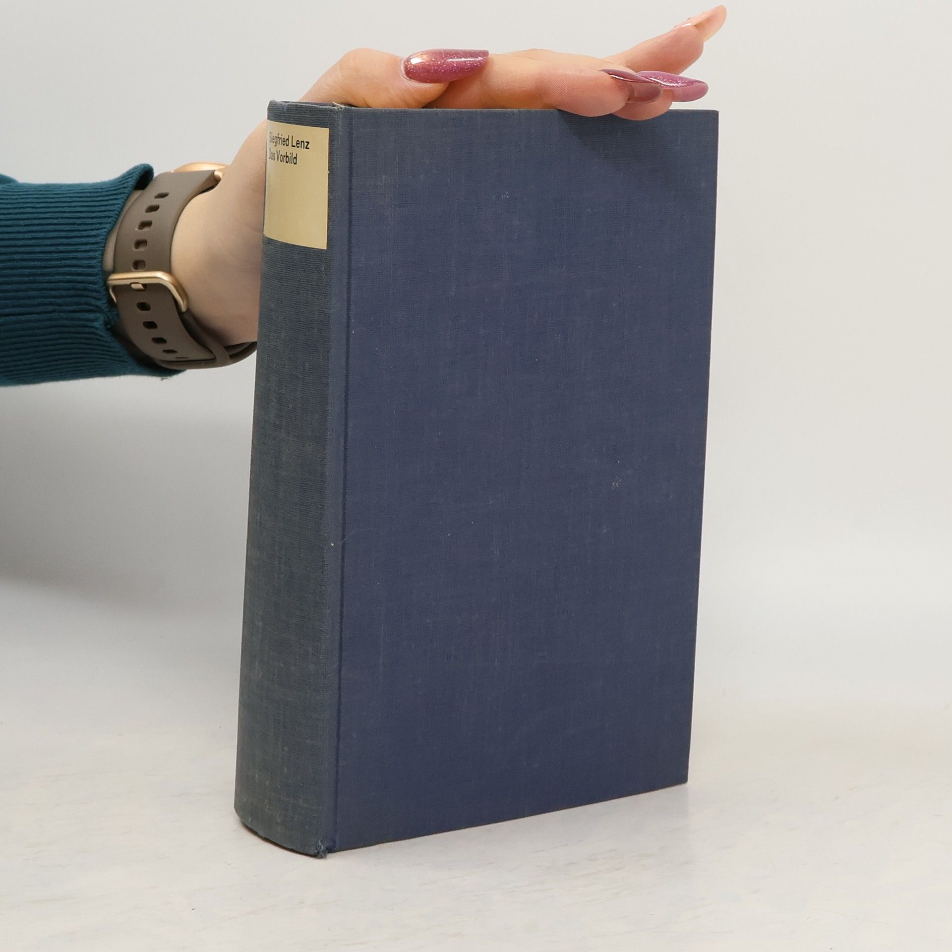 Siegfried Lenz Das Vorbild