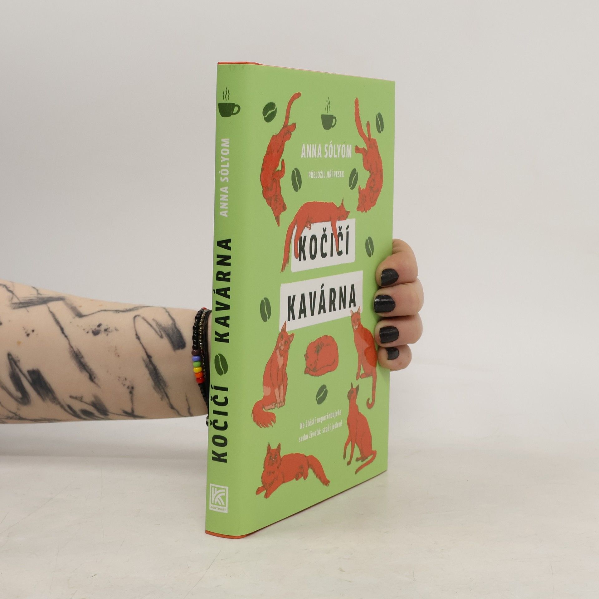 Anna Sólyom Kočičí kavárna