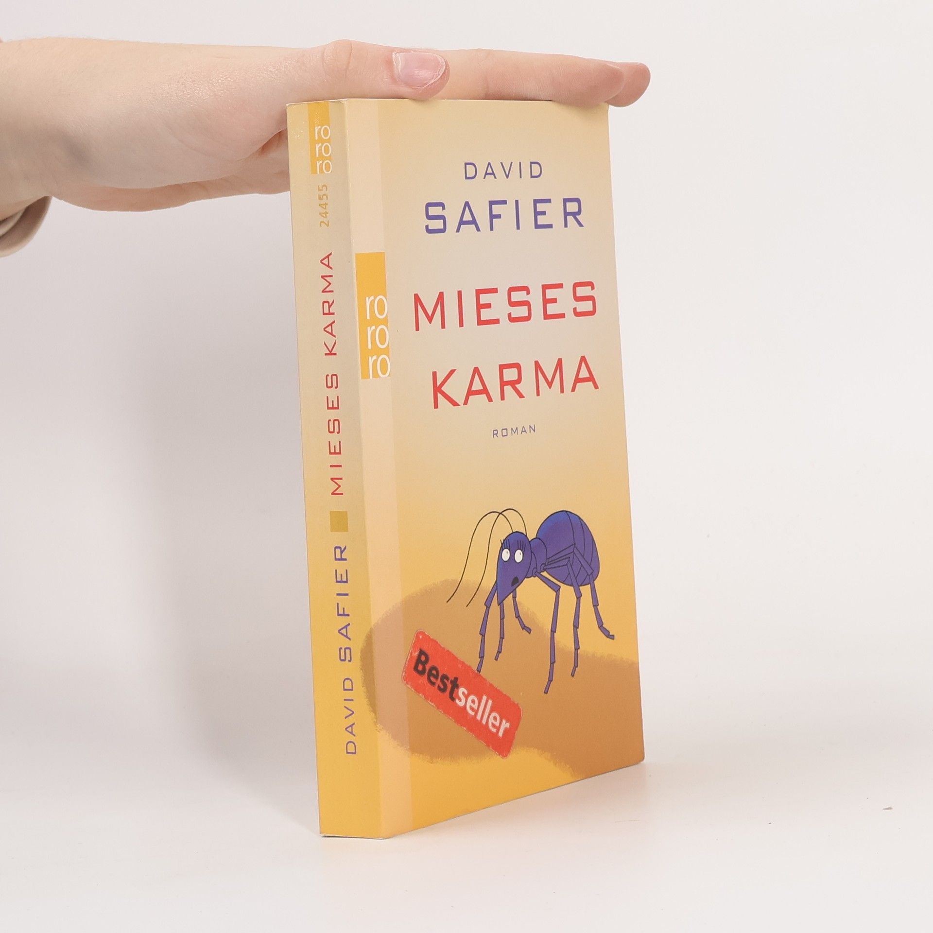 David Safier Mieses Karma