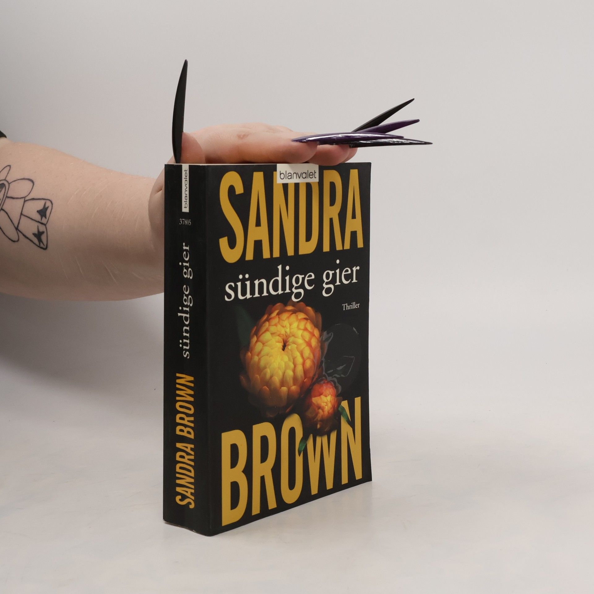 Sandra Brown Sündige Gier