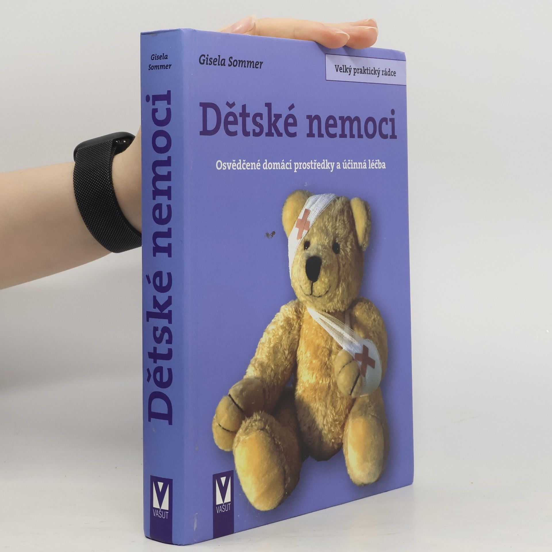 Gisela Sommer Dětské nemoci. Osvědčené domácí prostředky a účinná léčba