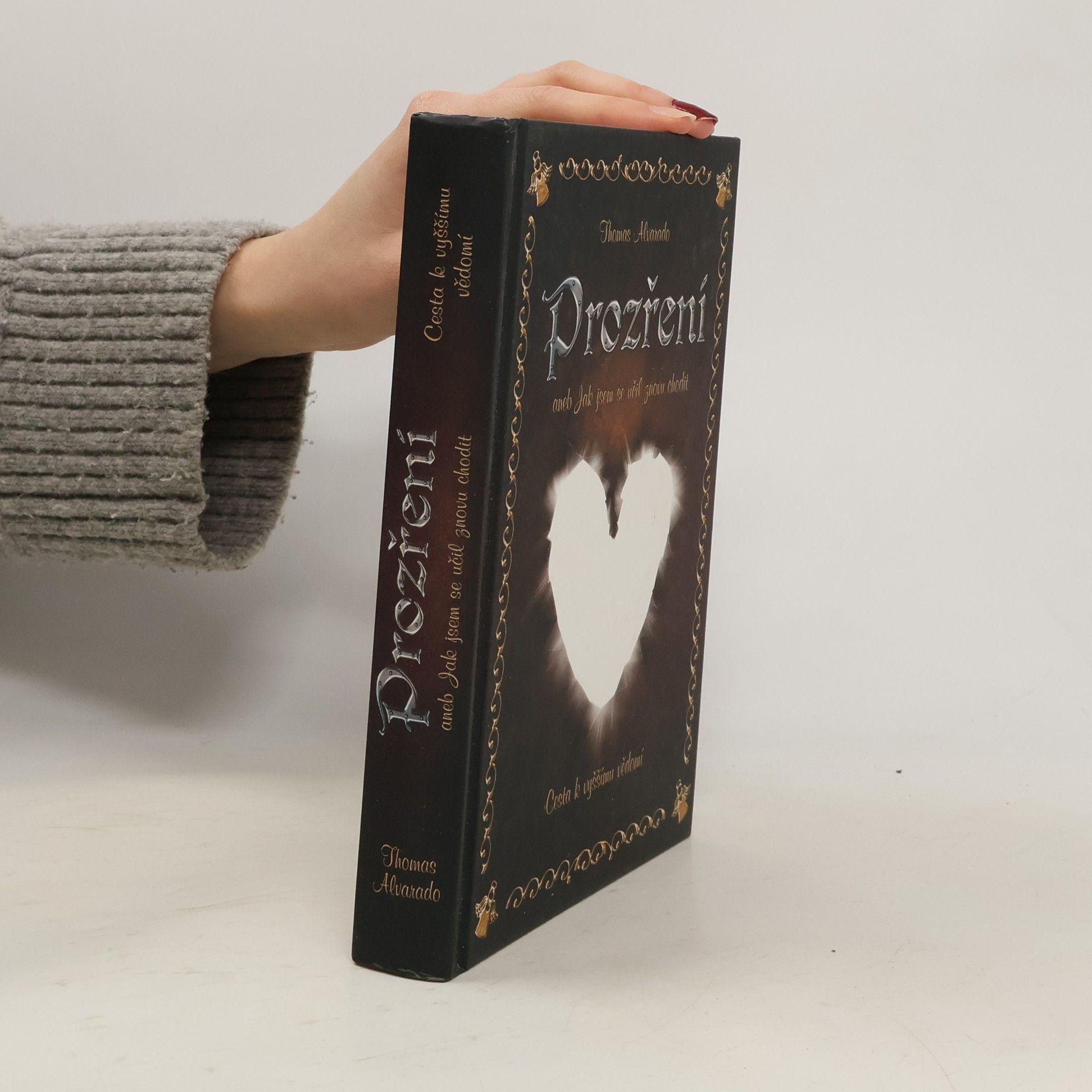 Thomas Alvarado Prozření, aneb, Jak jsem se učil znovu chodit : cesta k vyššímu vědomí
