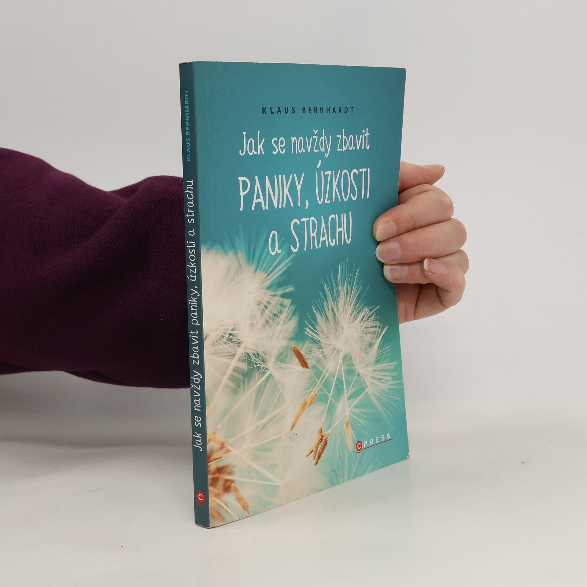 Klaus Bernhardt Jak se navždy zbavit paniky, úzkosti a strachu