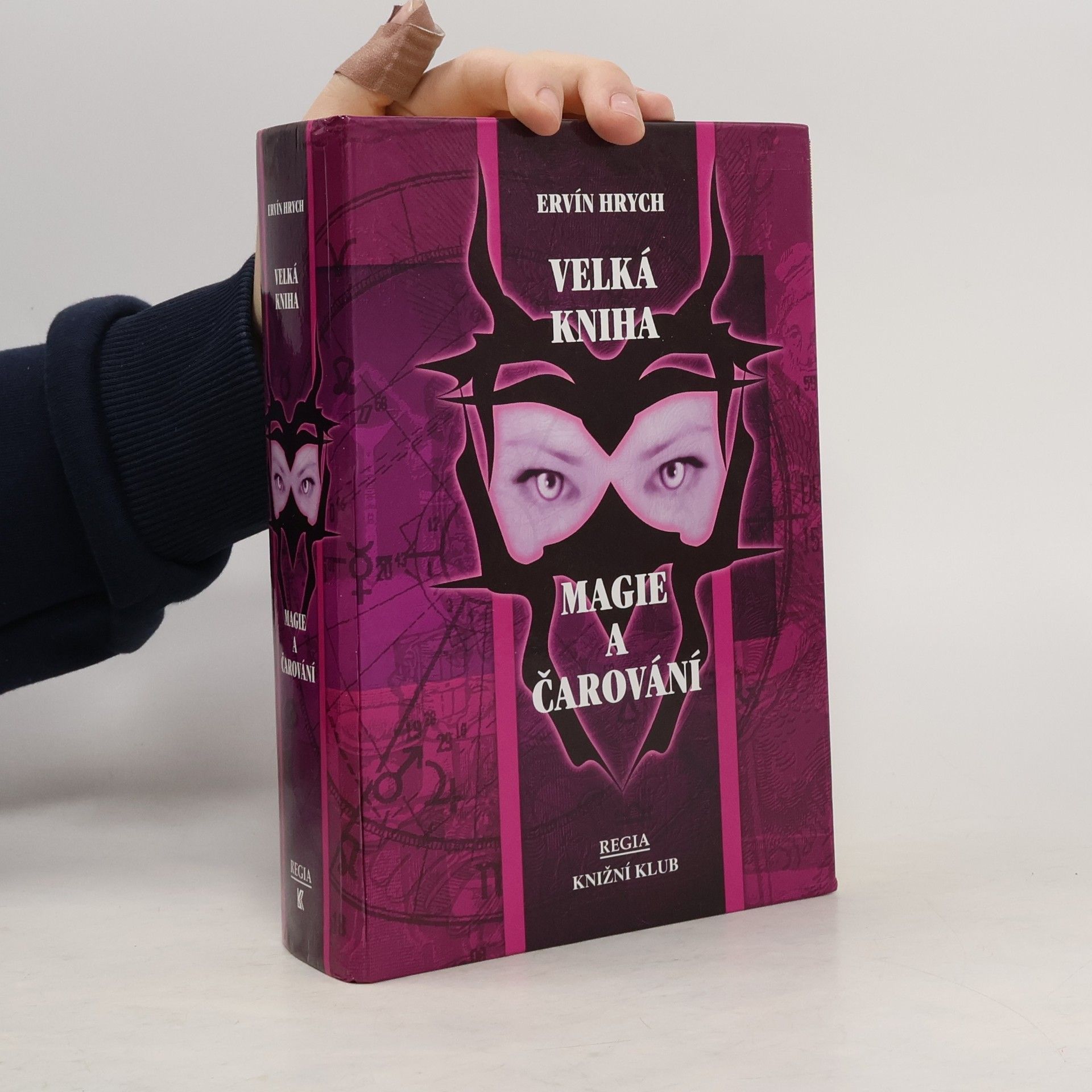 Ervín Hrych Velká kniha magie a čarování