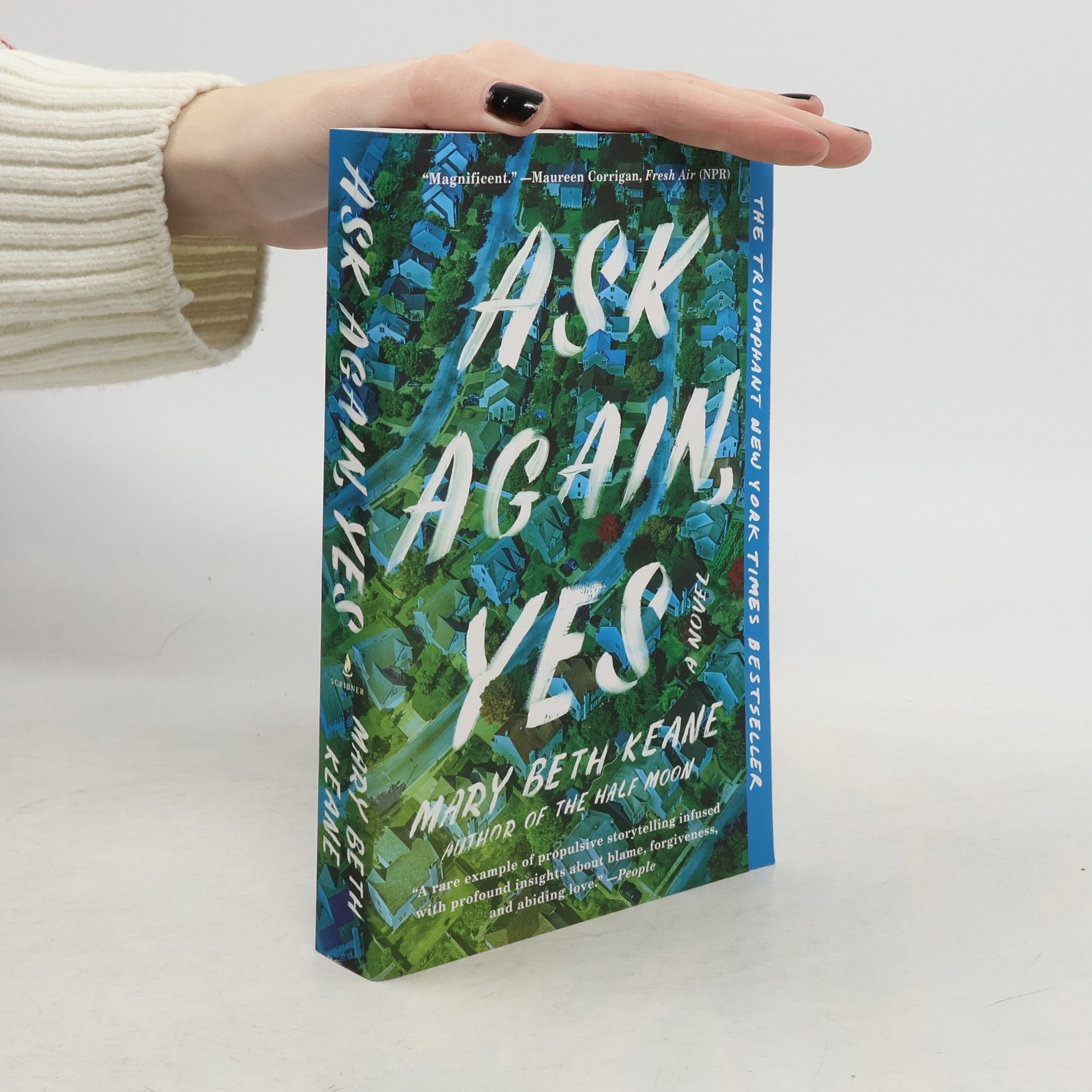 Mary Beth Keane Ask Again, Yes