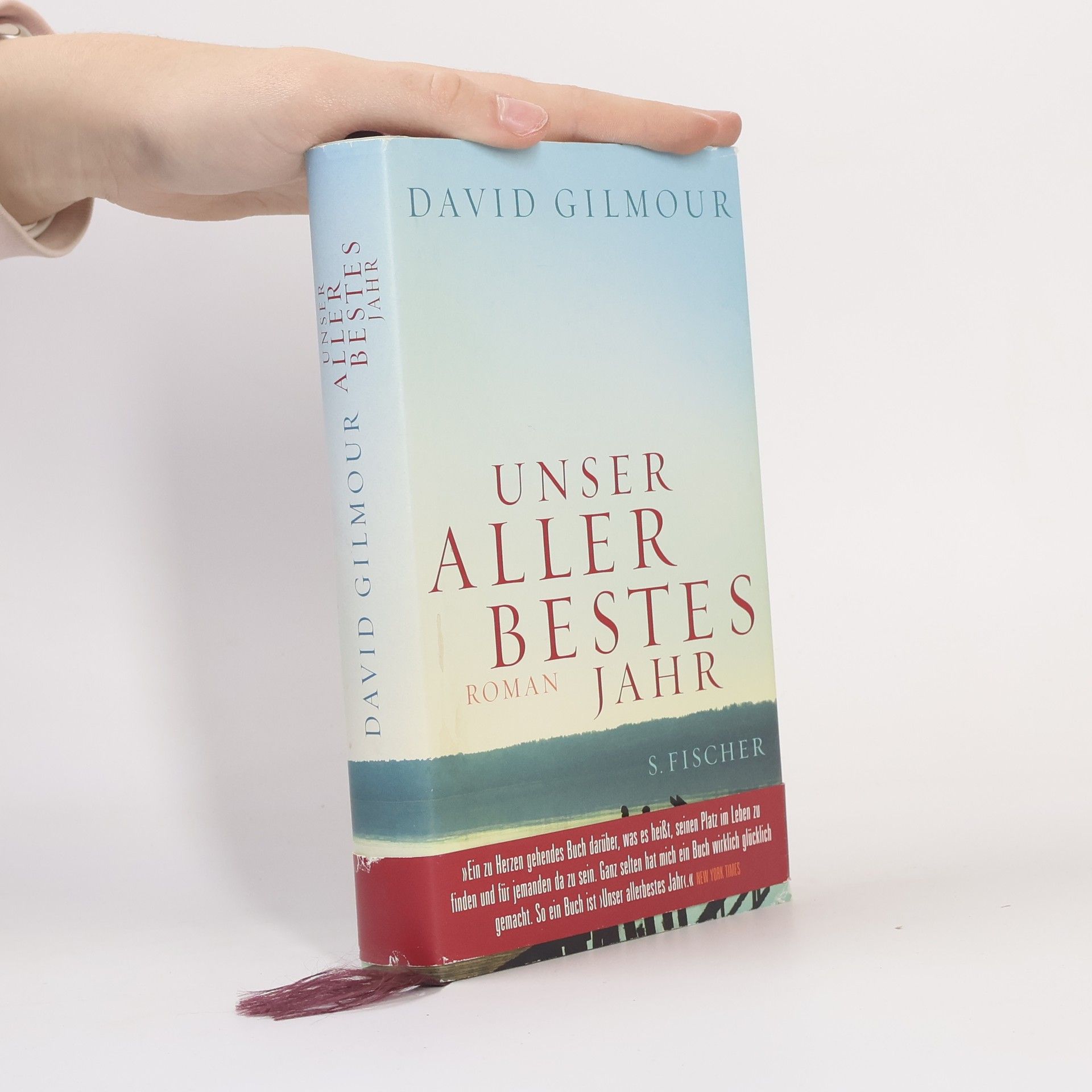 David Gilmour Unser allerbestes Jahr