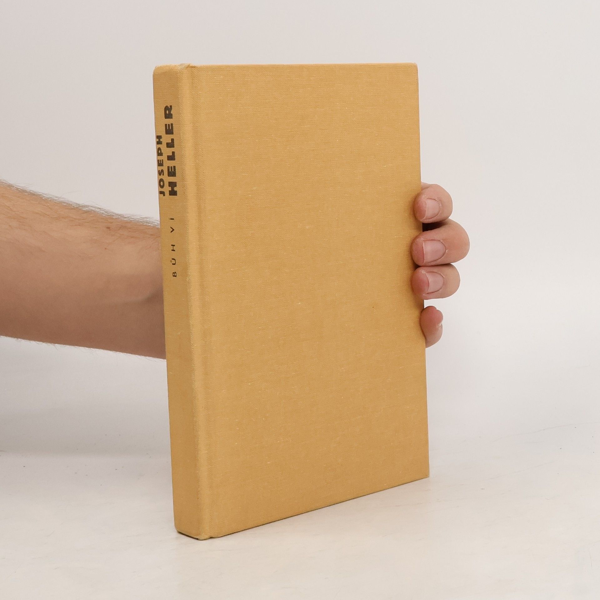 Joseph Heller Bůh ví