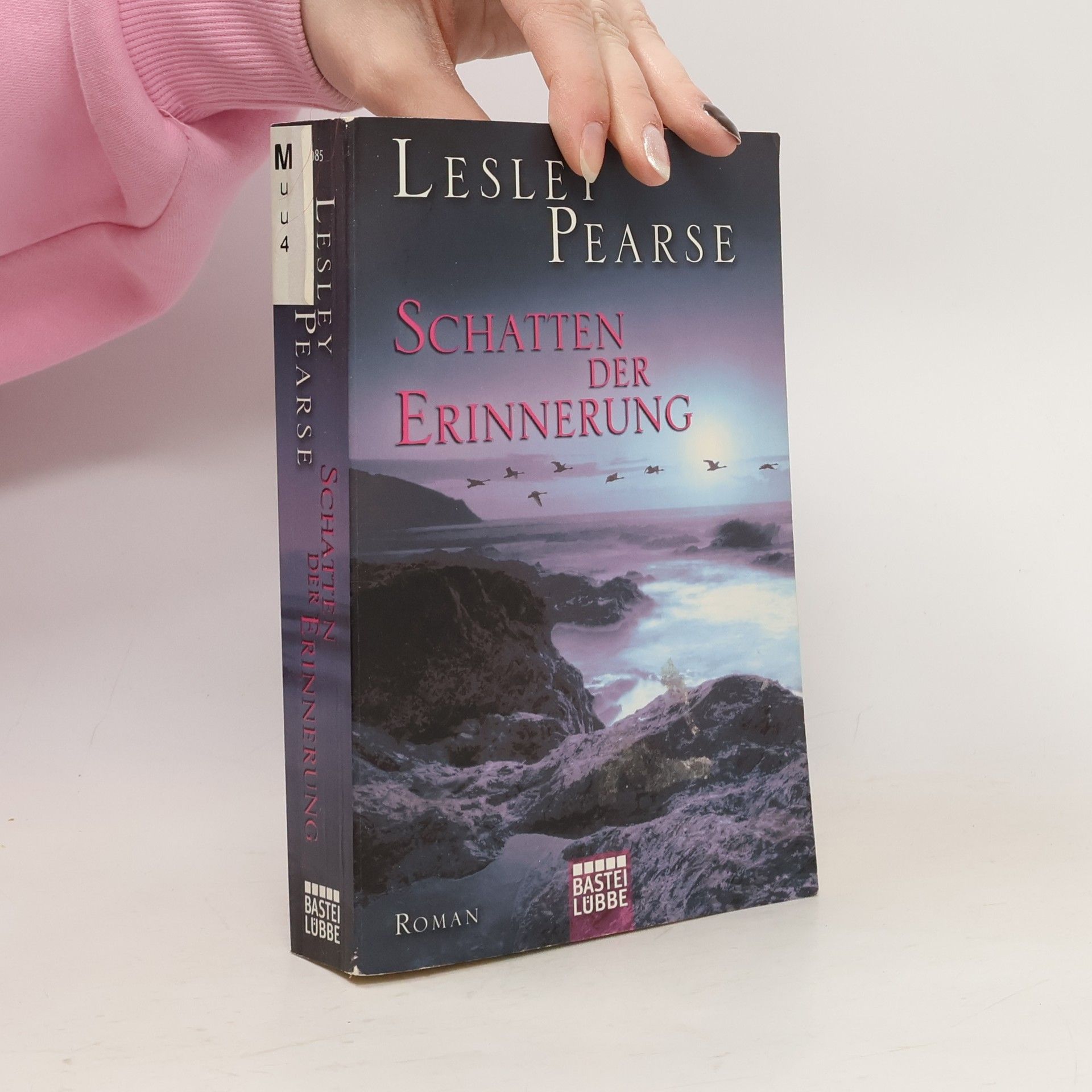 Lesley Pearse Schatten der Erinnerung