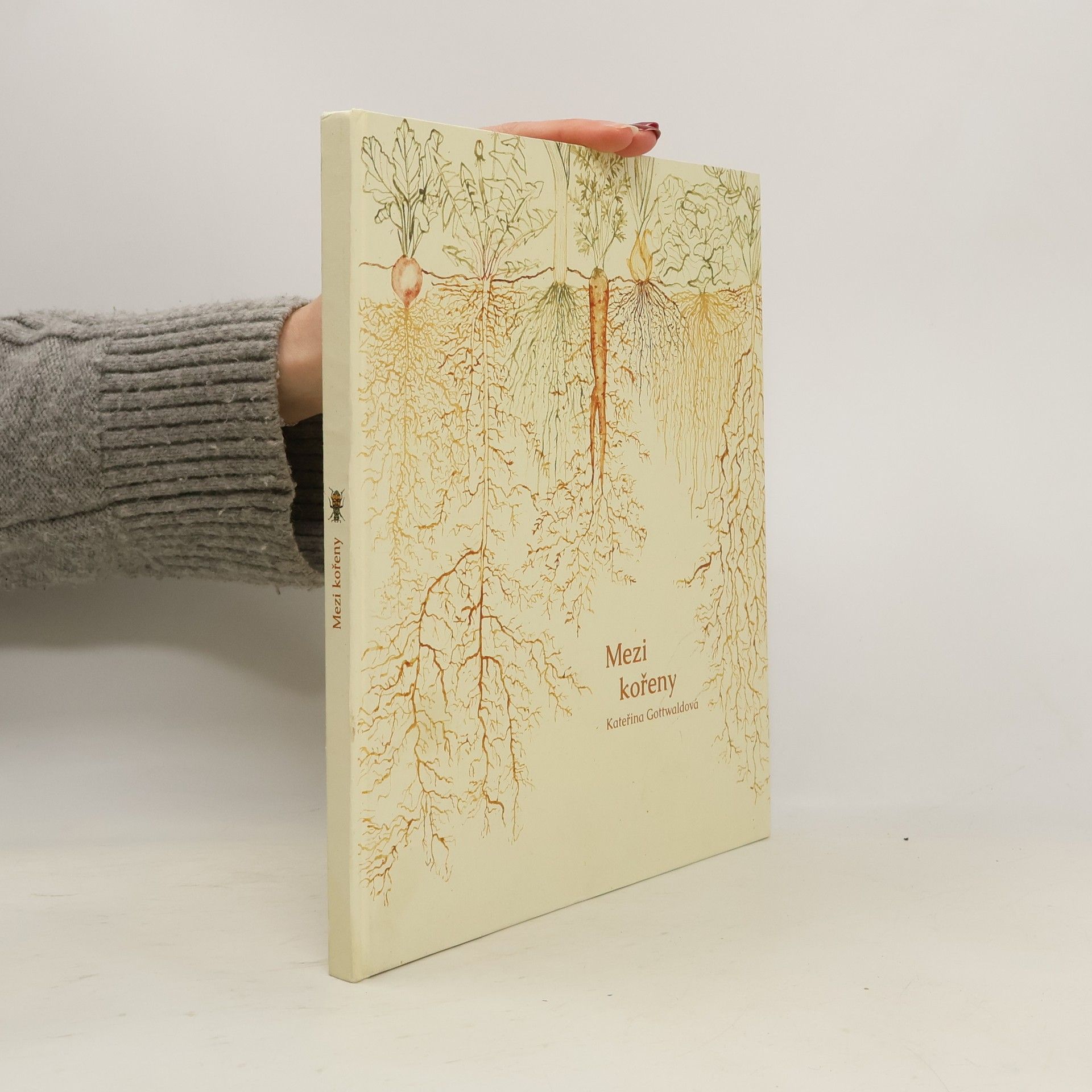 Mezi kořeny