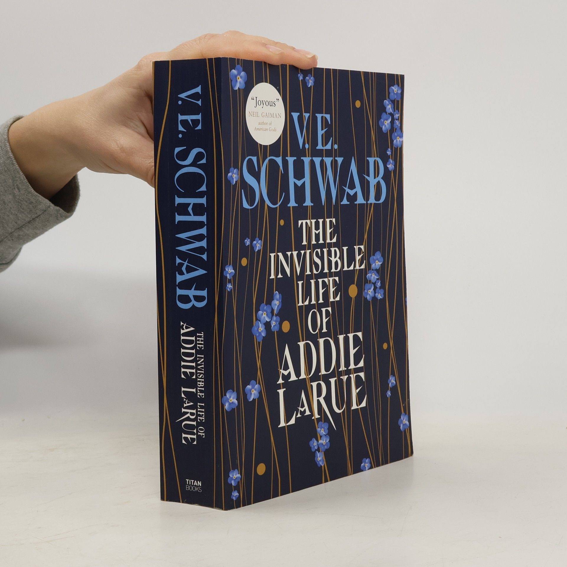 Victoria Schwab The Invisible Life of Addie Larue