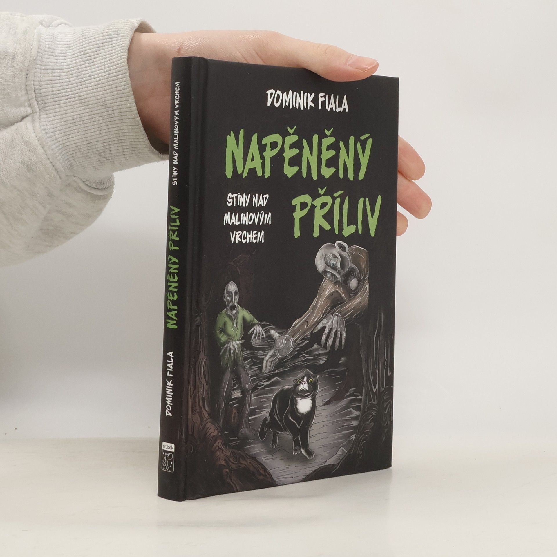 Napěněný příliv