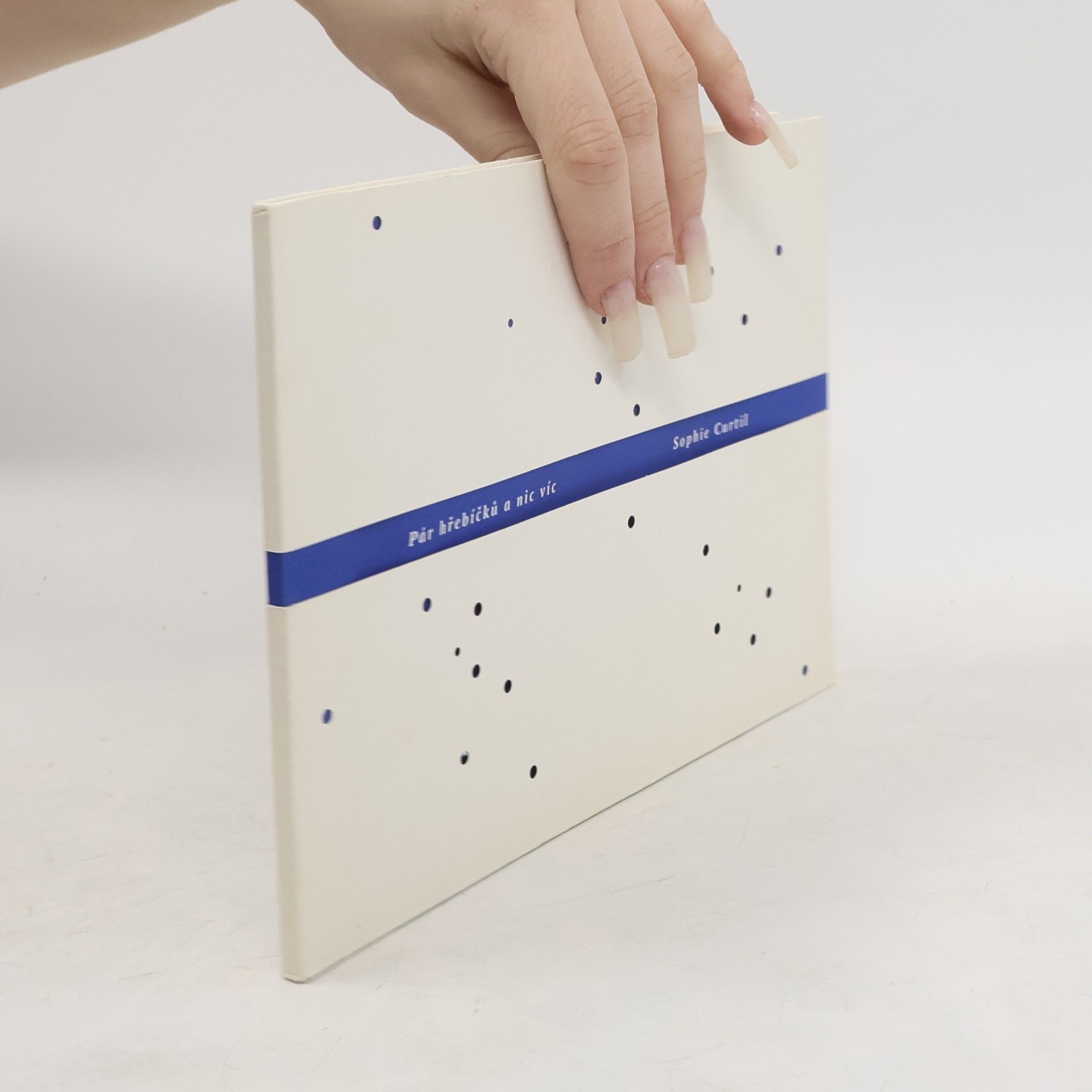 Sophie Curtil Pár hřebíčků a nic víc