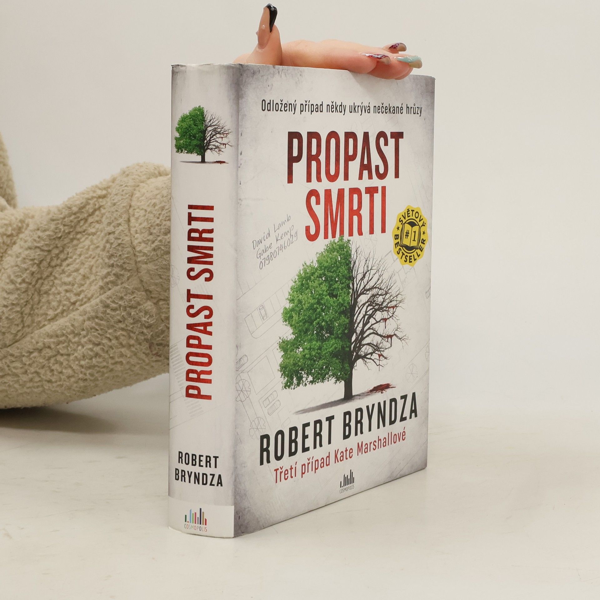 Robert Bryndza Propast smrti