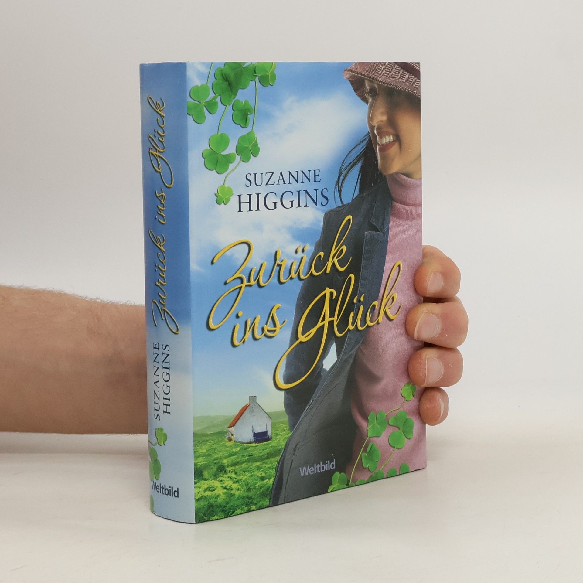 Suzanne Higgins Zurück ins Glück